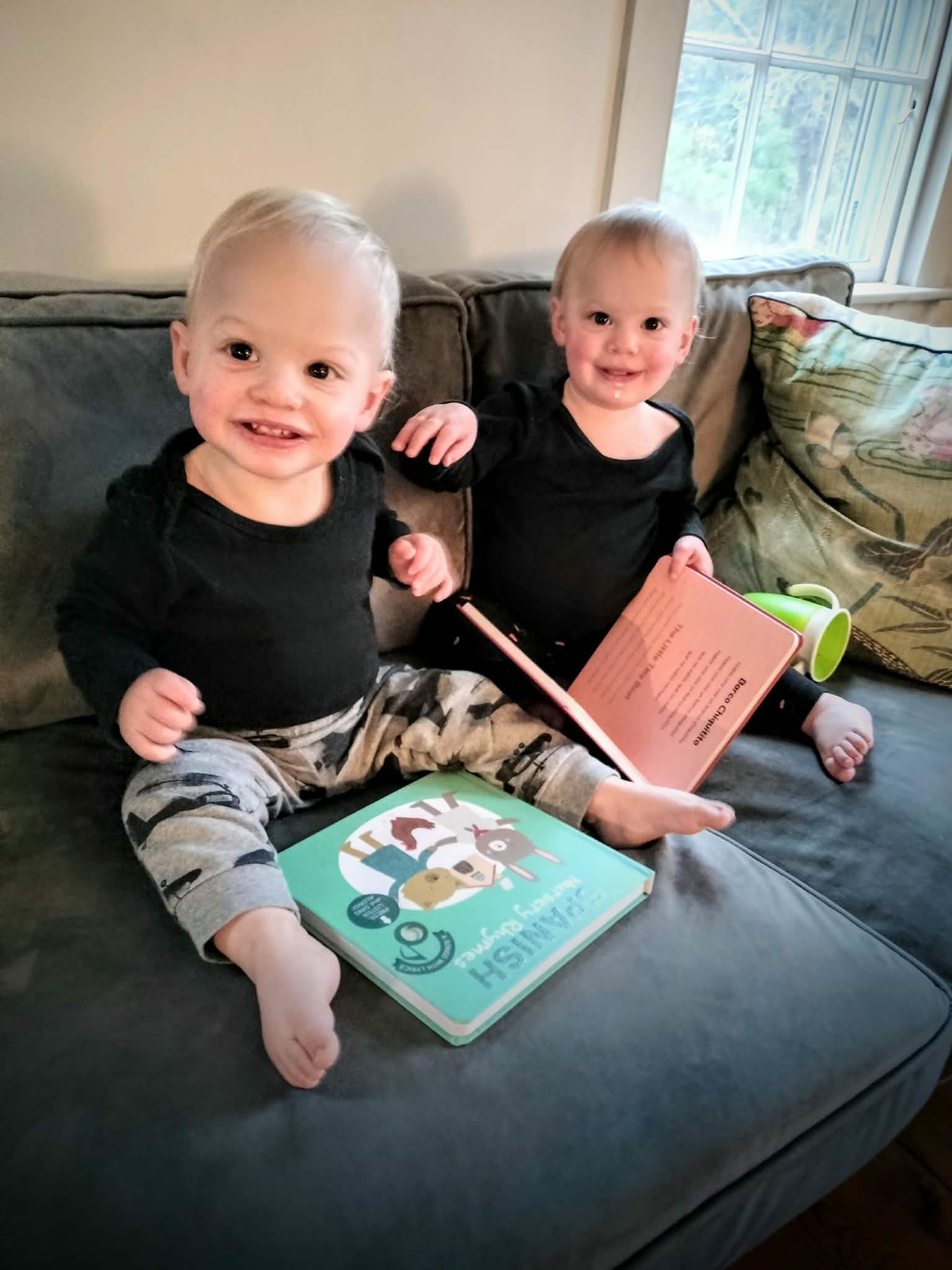 Two smiling young children sitting on a couch with books in front of them, one child reaching out, in a living room with window and pillow in the background.