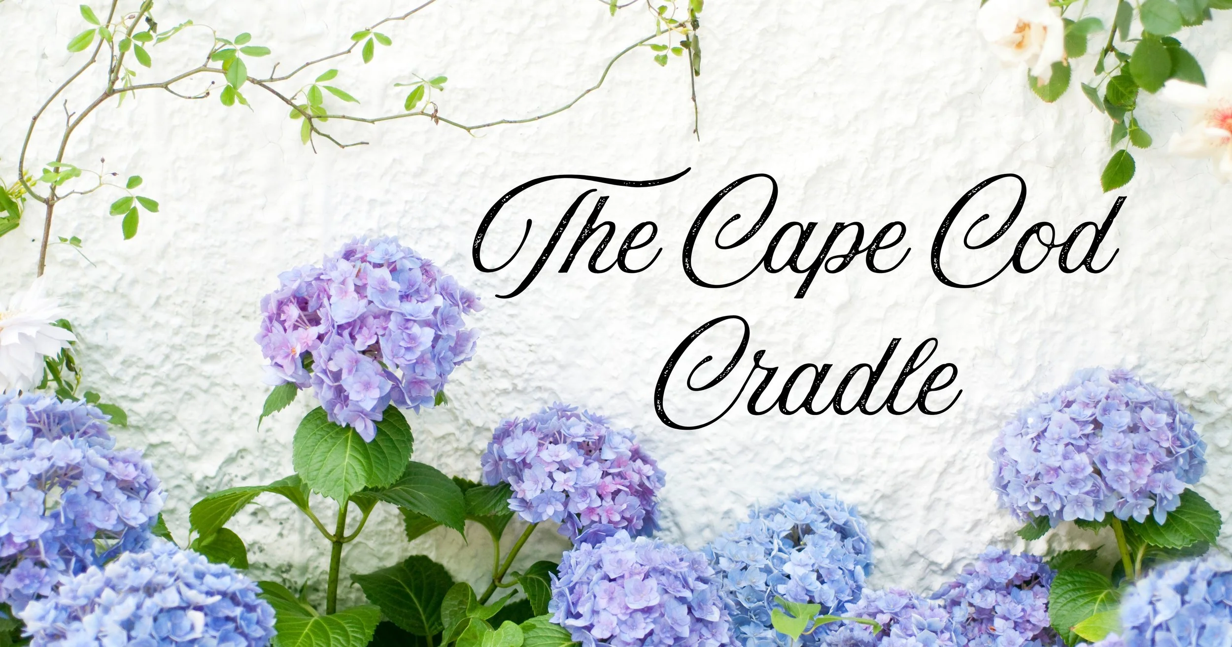 A white textured wall with purple and blue hydrangea flowers and green leaves, and the text 'The Cup Cod Cradle' written in black cursive font.