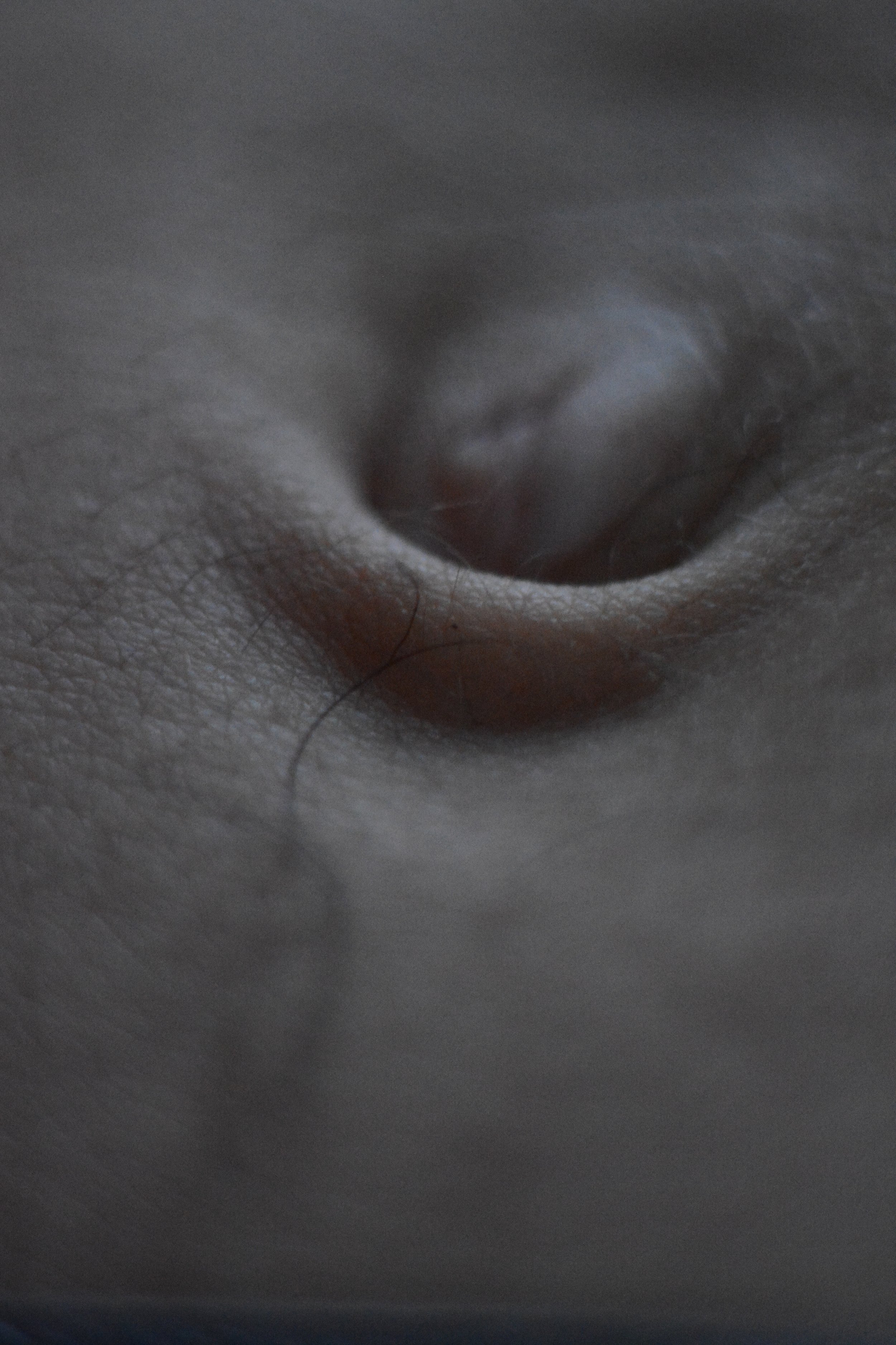 DSC_0889.jpg