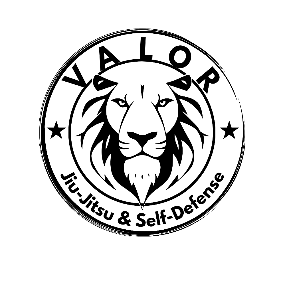 VALOR Jiu-Jitsu &amp; Self-Defense