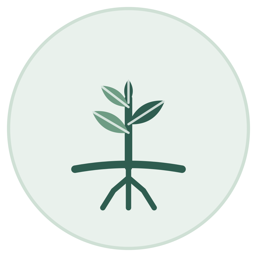 cultivate-embedded.png