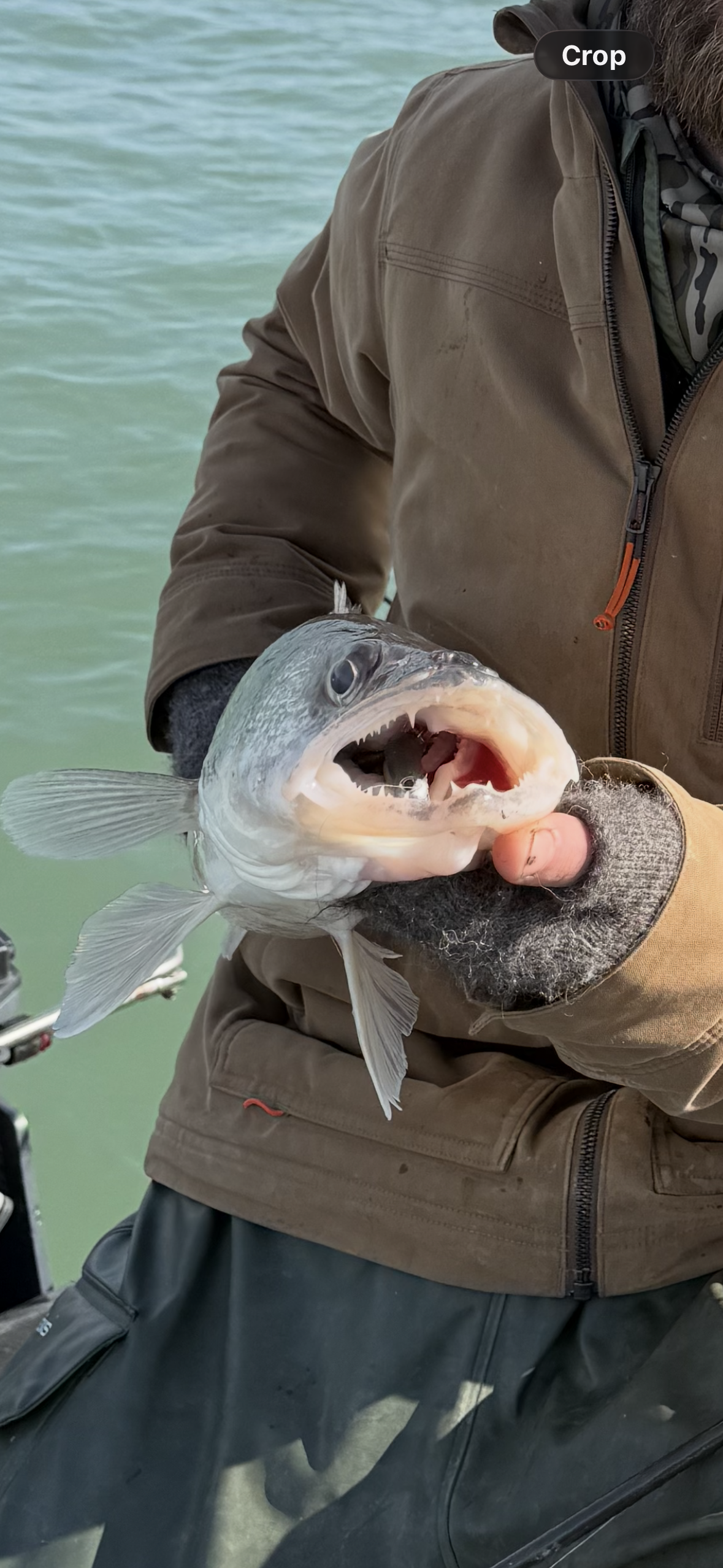 Casting St.Clair Walleye