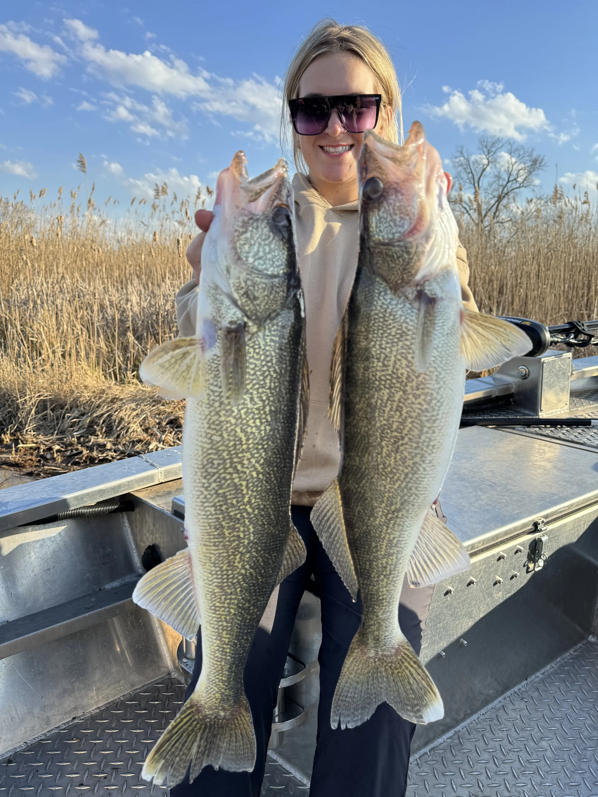 Woman wearing sunglasses holding two large fish on a boat with a field and blue sky in the background. Large walleye caught on a fancy fish charter.