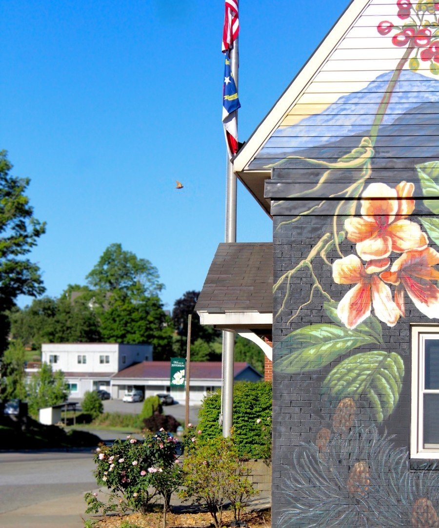 Experience the beauty and culture of Ashe County, North Carolina, from historic downtown streets and local boutiques to scenic mountain landscapes and outdoor adventures.