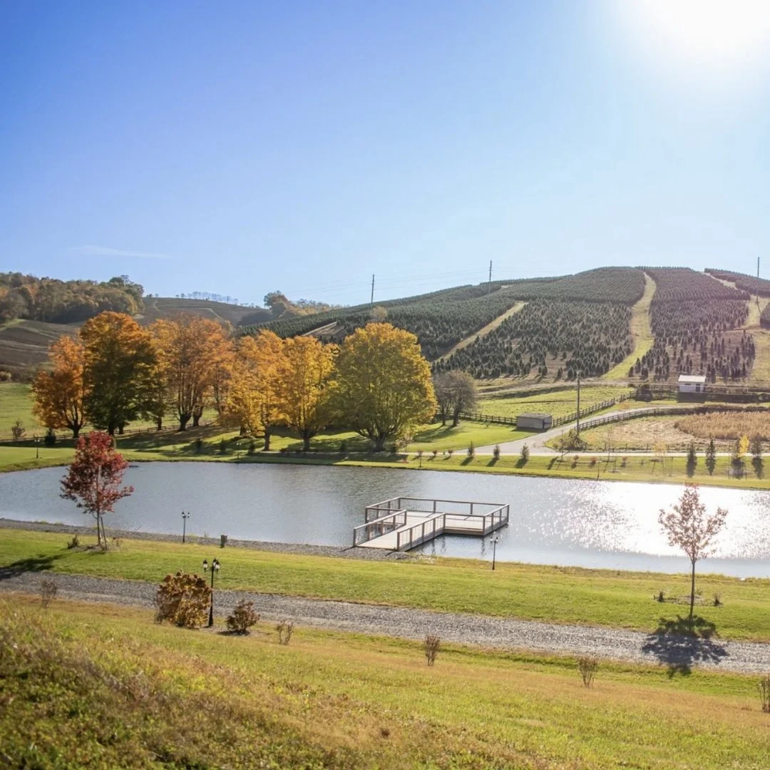 old-barn-winery-ashe-county-nc (3).jpg