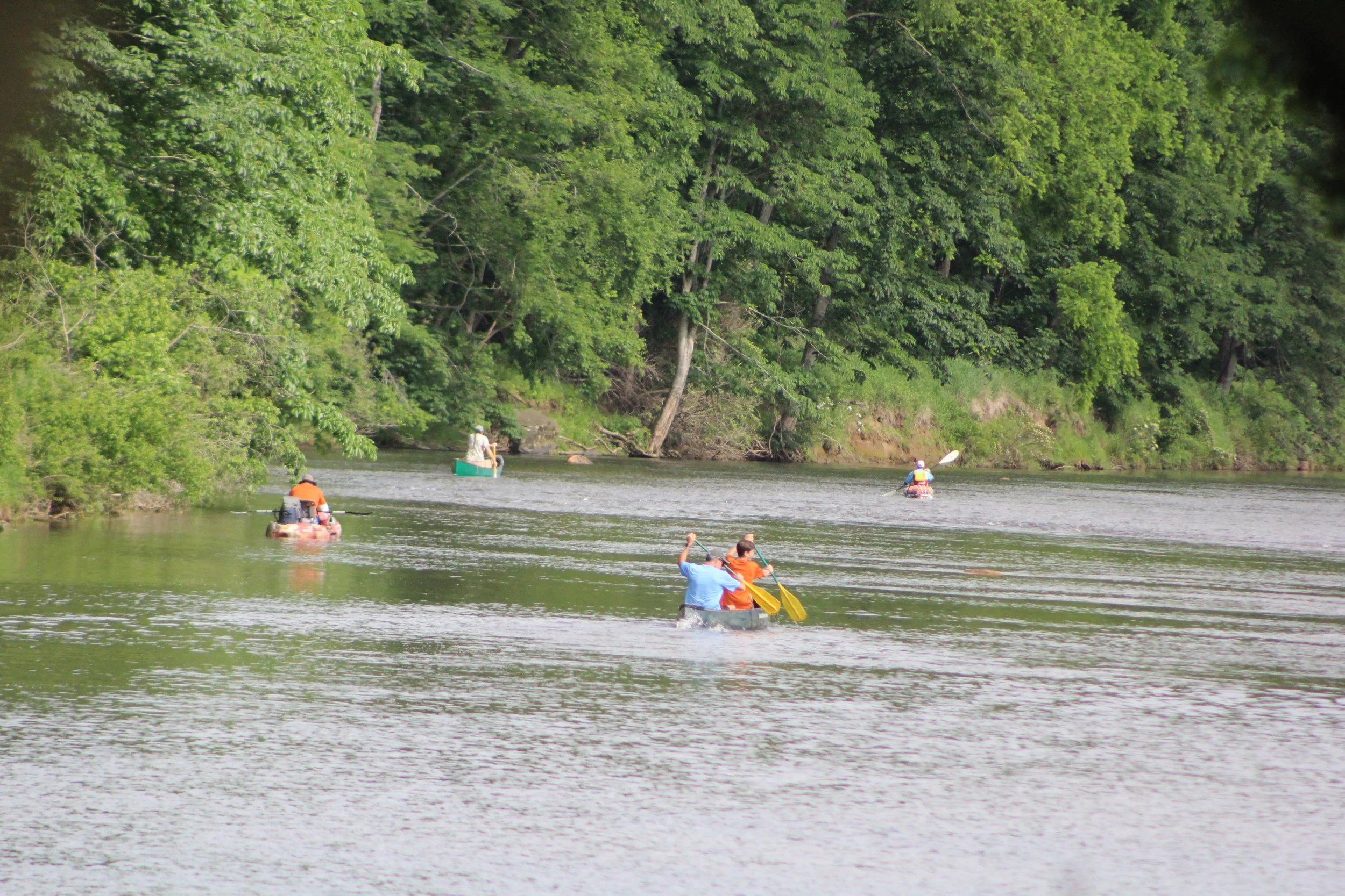 IMG_7330.JPG