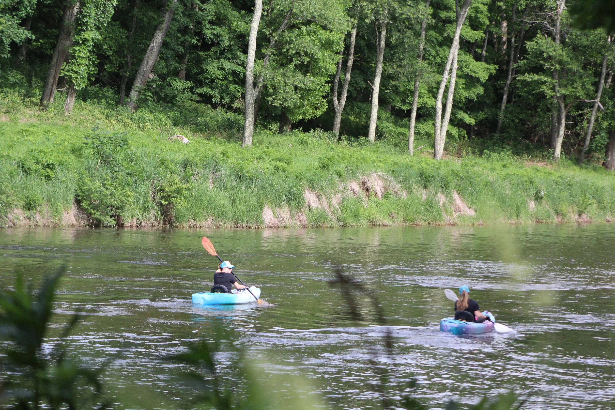 IMG_7333.JPG