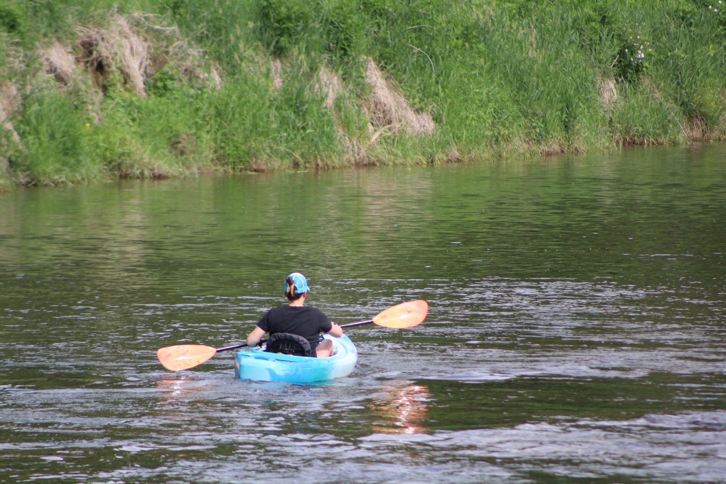 IMG_7334.JPG