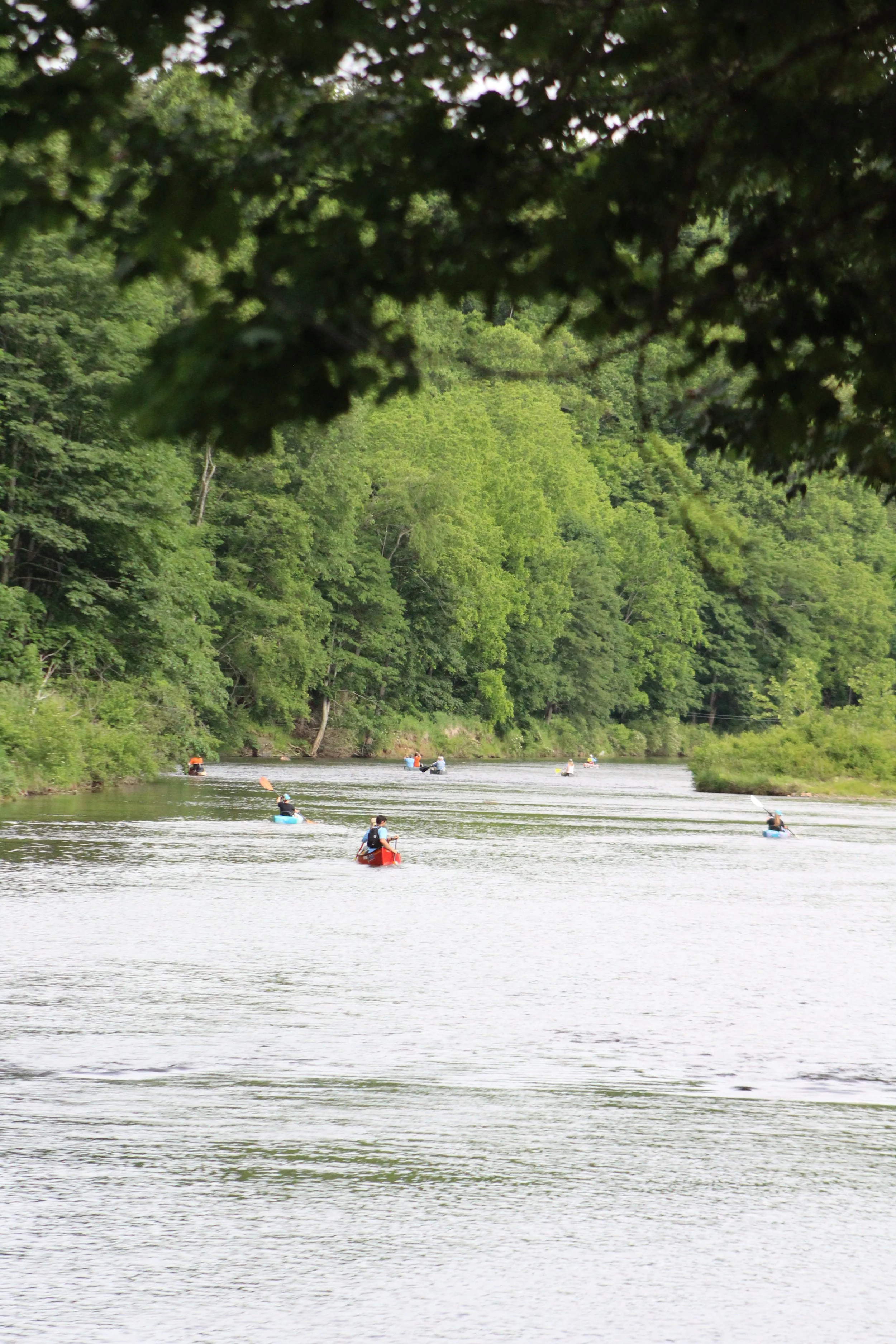 A group of people kayaking on the new river in Ashe County North Carolina
