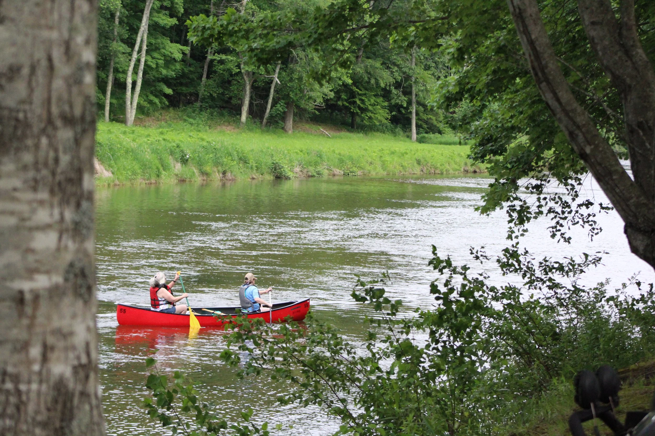 Kayaking on the New River in Ashe County, North Carolina