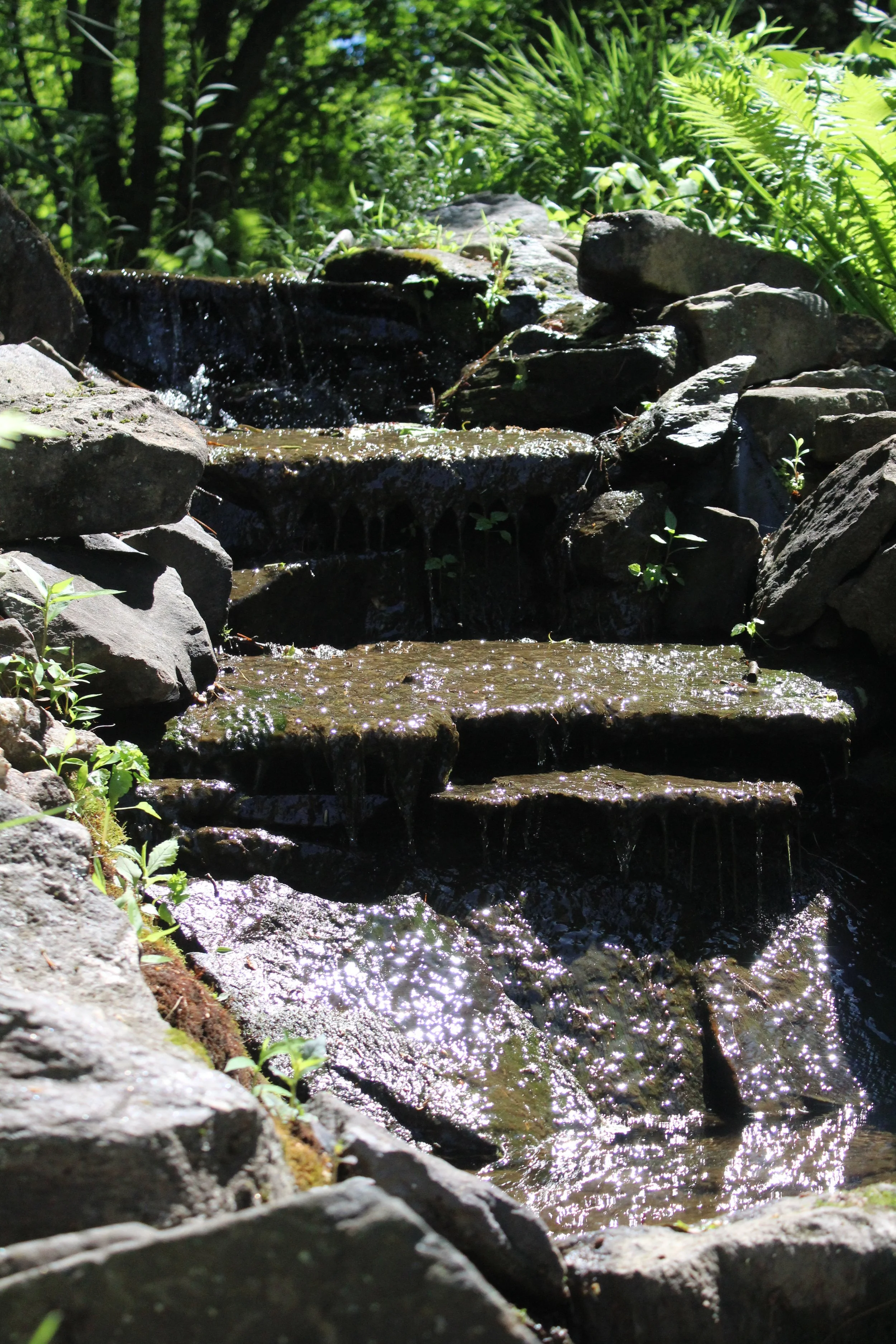 IMG_7263.JPG