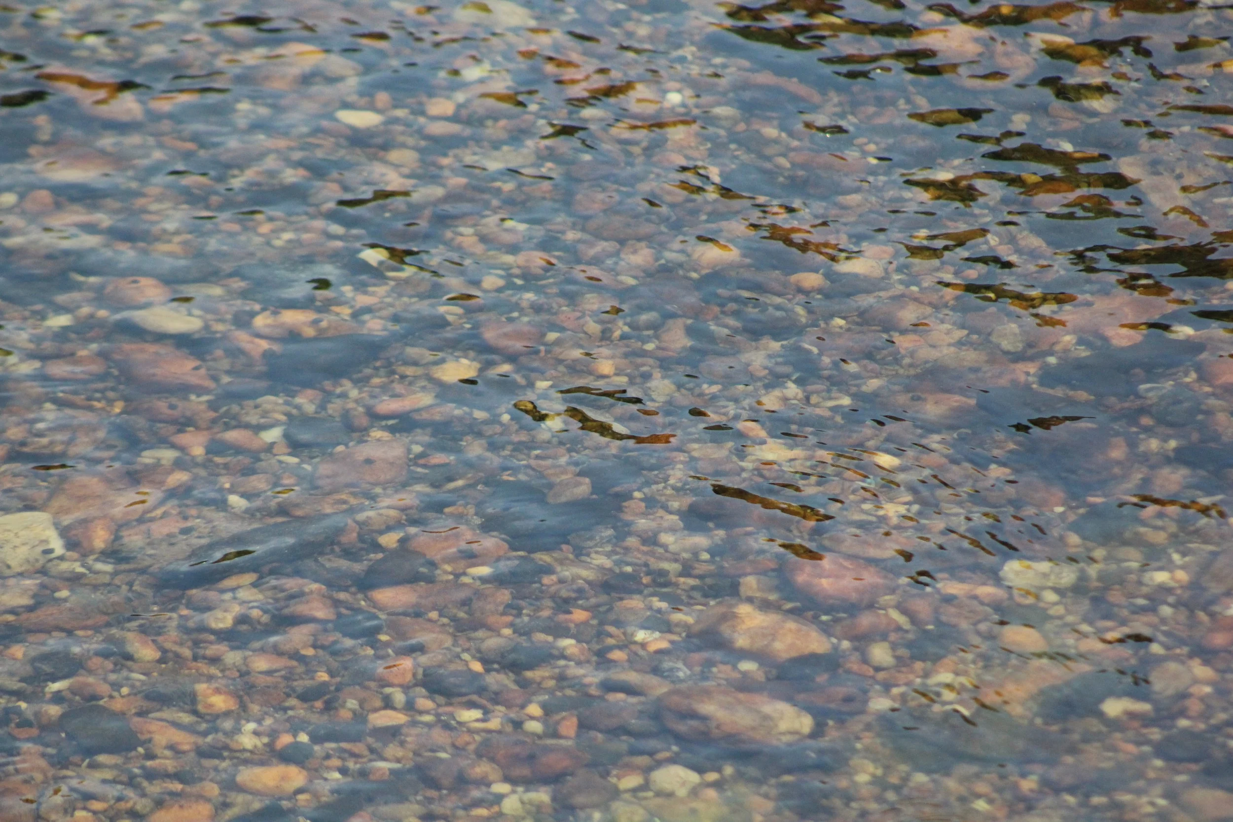 new-river-outfitters-ashe-county-nc (6).JPG