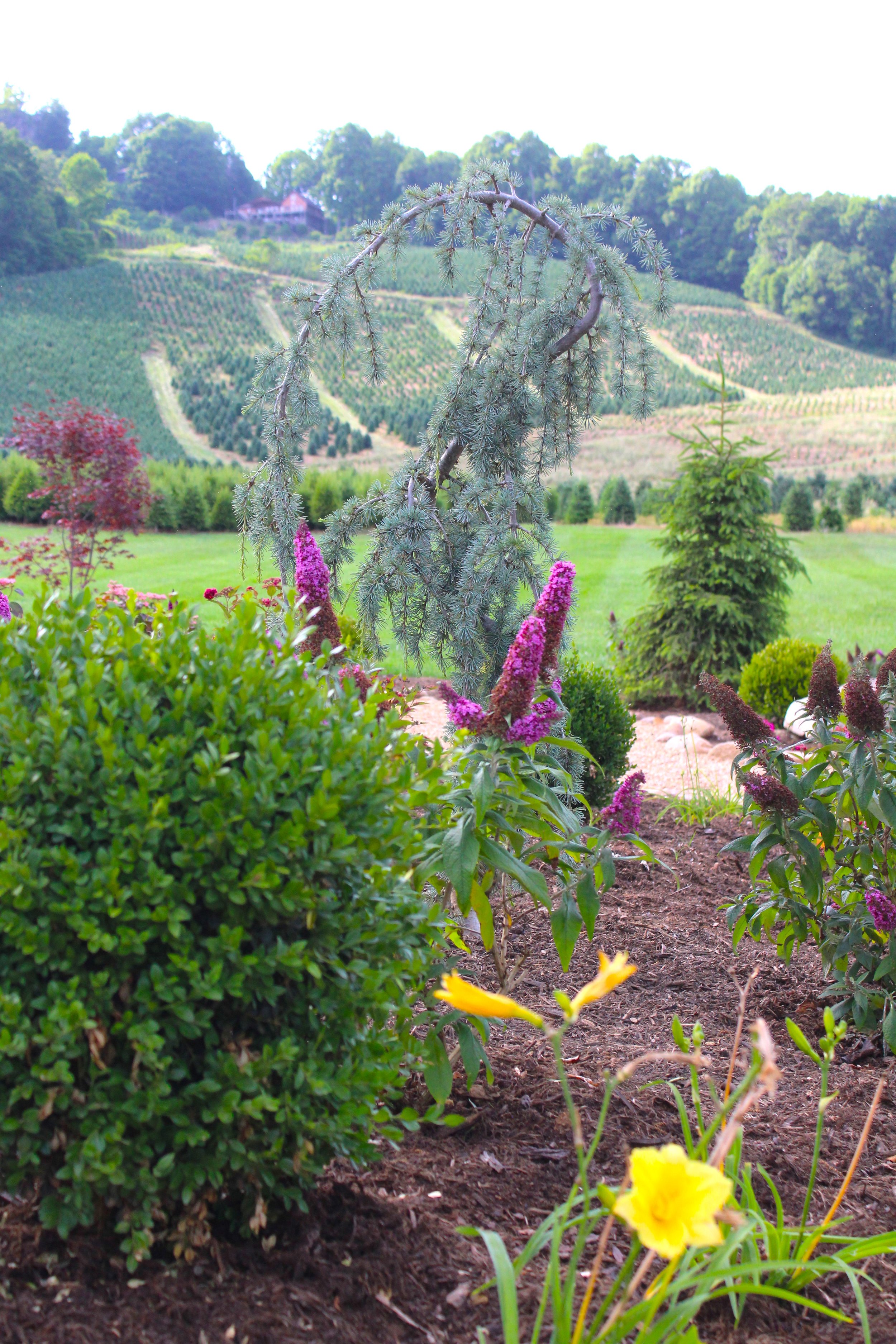 old-barn-winery (61).JPG