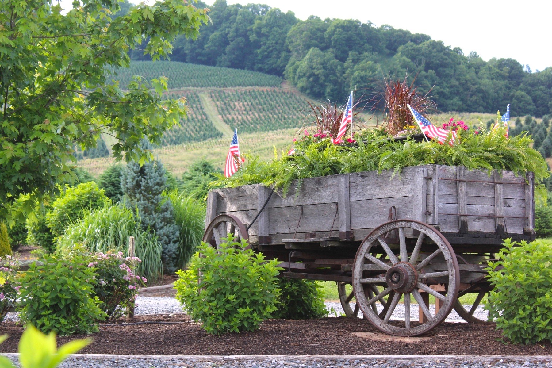 old-barn-winery (12).jpg