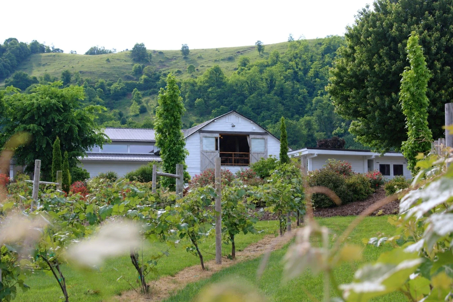 old-barn-winery (10).jpg