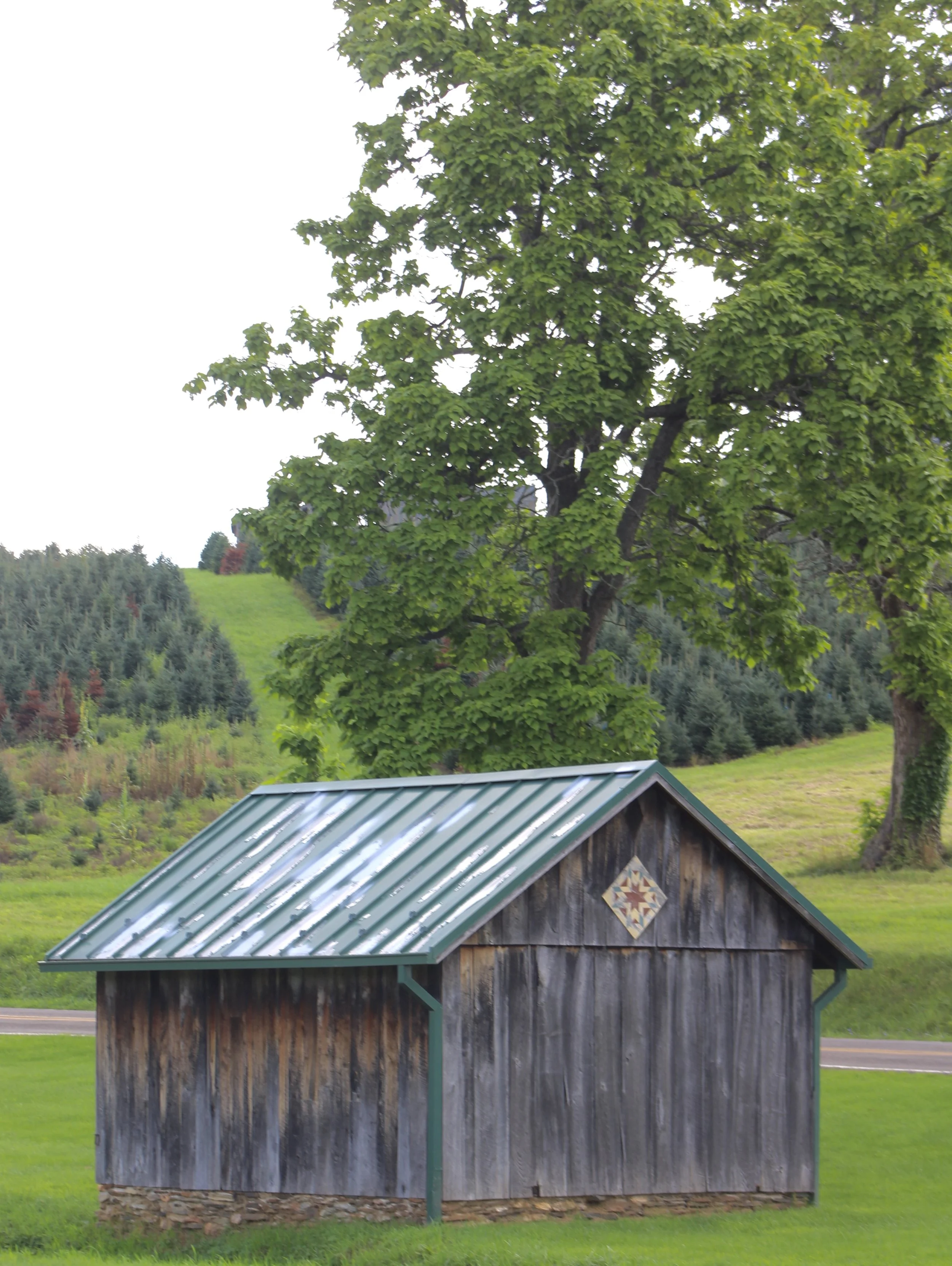 the-old-store-grassy-creek-nc (18).jpg