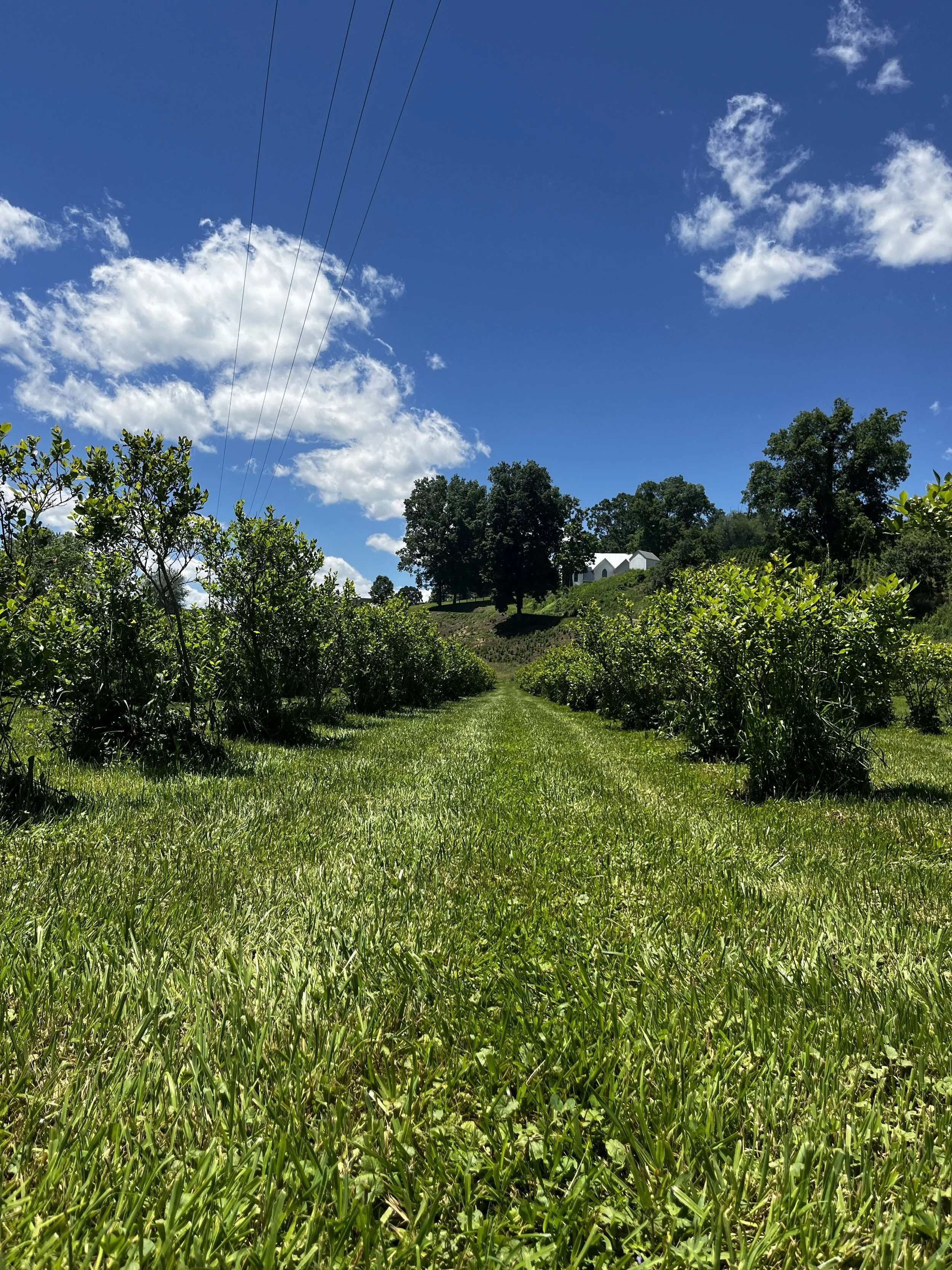 the-old-store-grassy-creek-nc (40).jpg