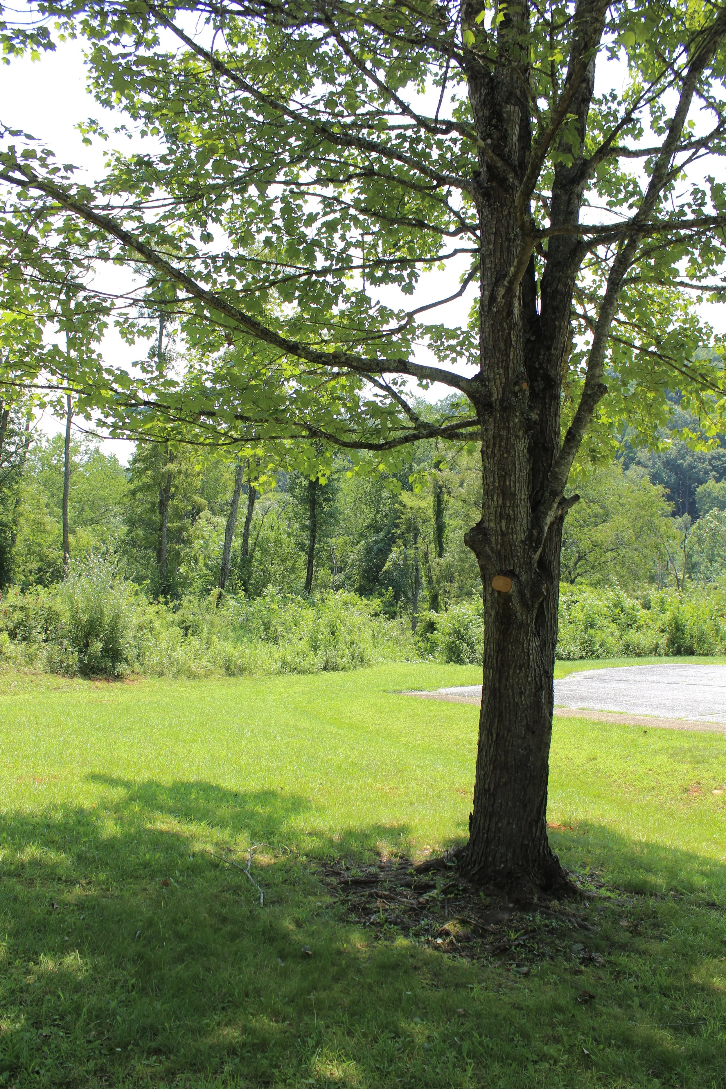 new-river-state-park (12).jpg