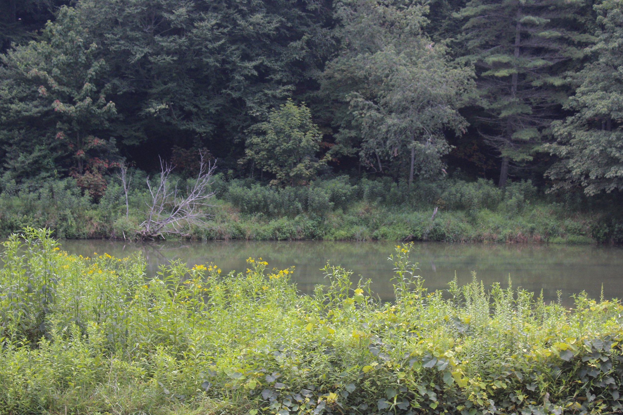 new-river-state-park (19).jpg