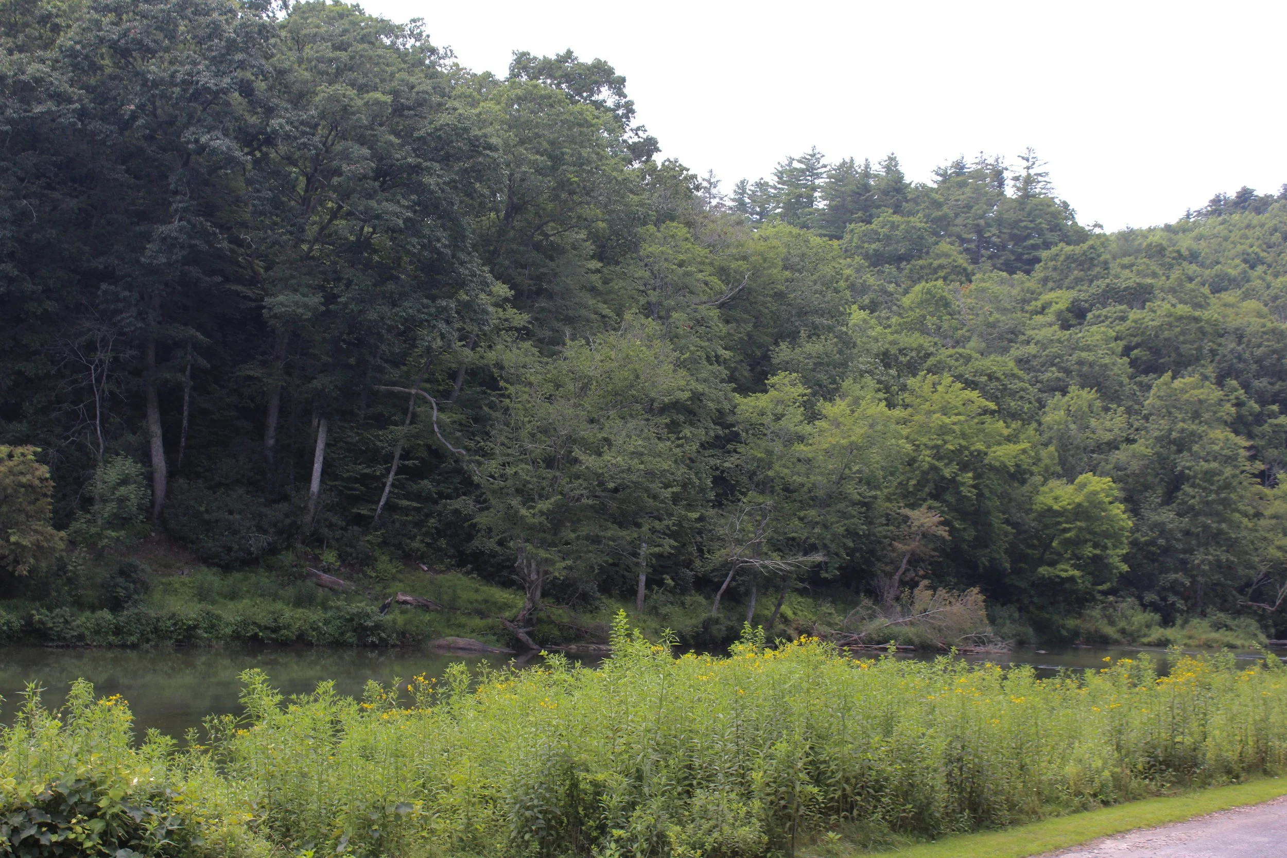 new-river-state-park (20).jpg