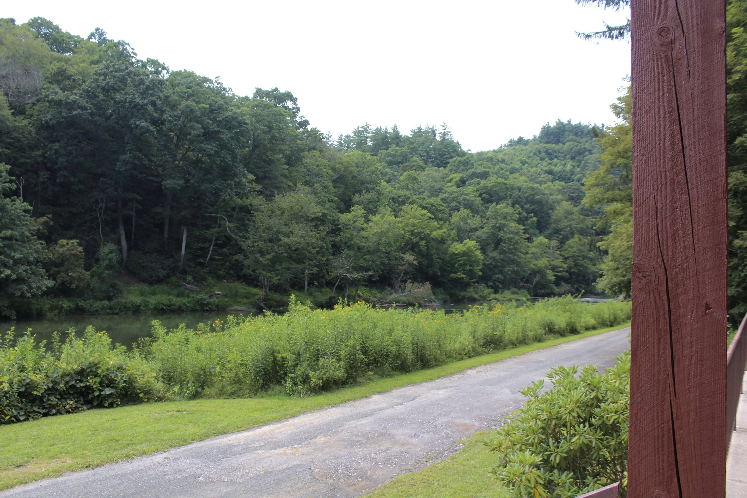 new-river-state-park (21).jpg