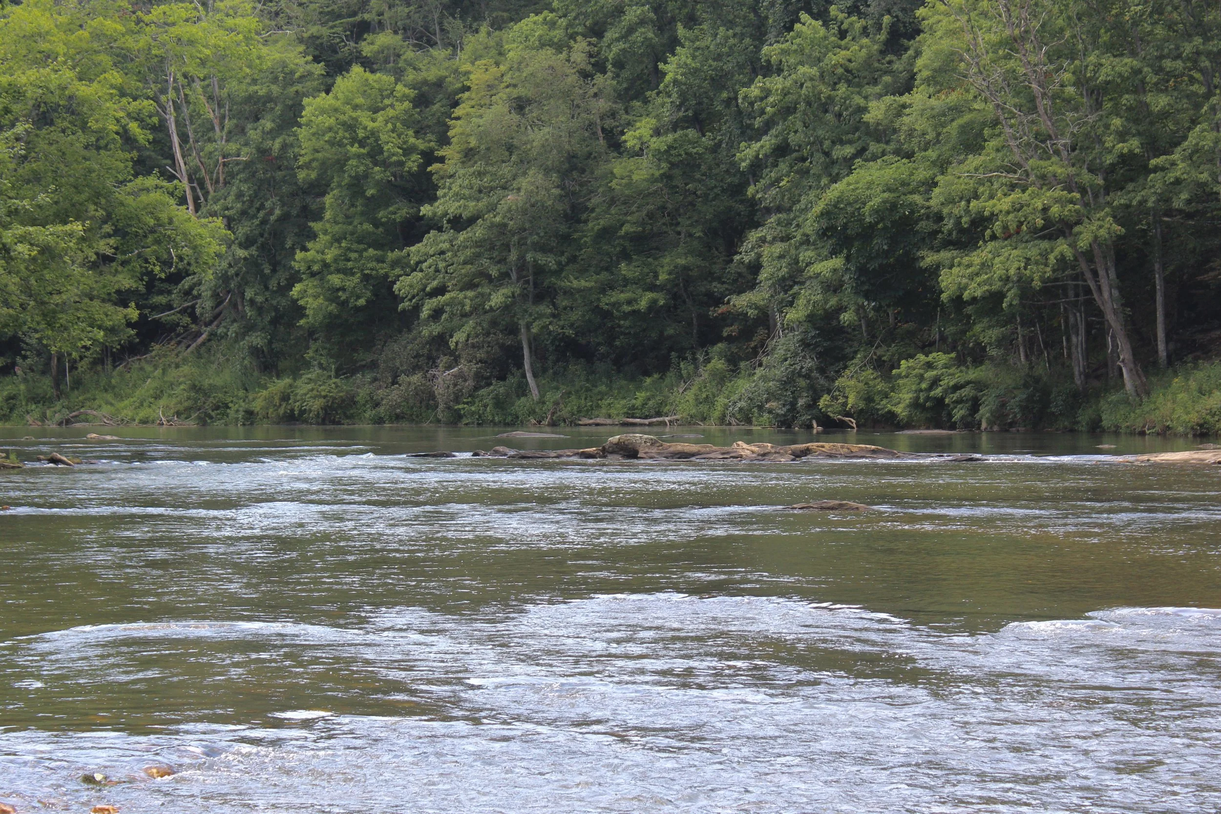 new-river-state-park (26).jpg