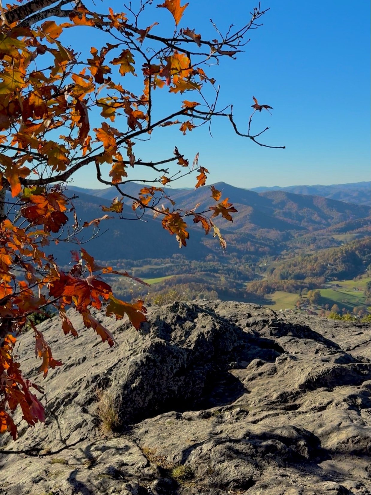 Autumn views on Mount Jefferson in North Carolina