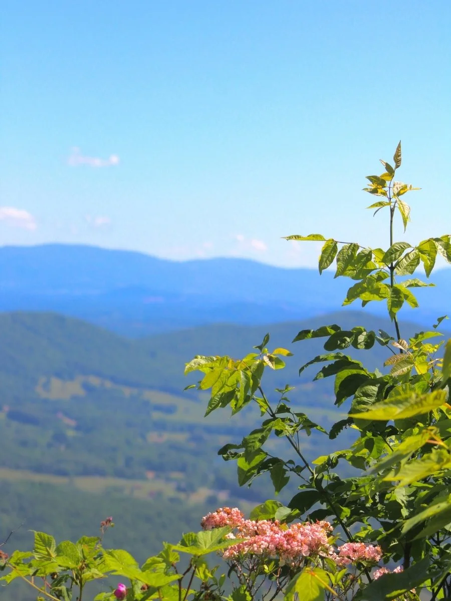 Spring views on Mount Jefferson in North Carolina