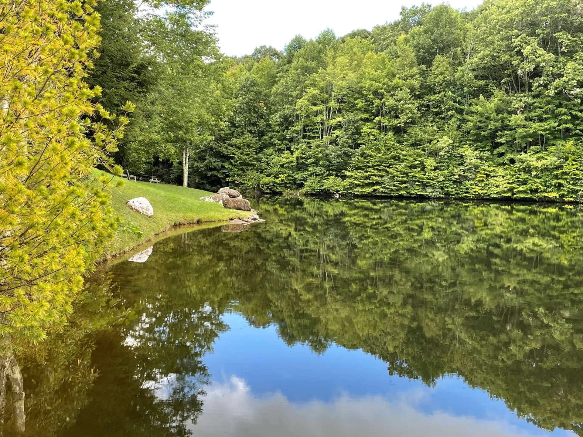 Calm river reflecting trees and sky, surrounded by lush green forest, with large rocks on grassy bank in bright daylight.