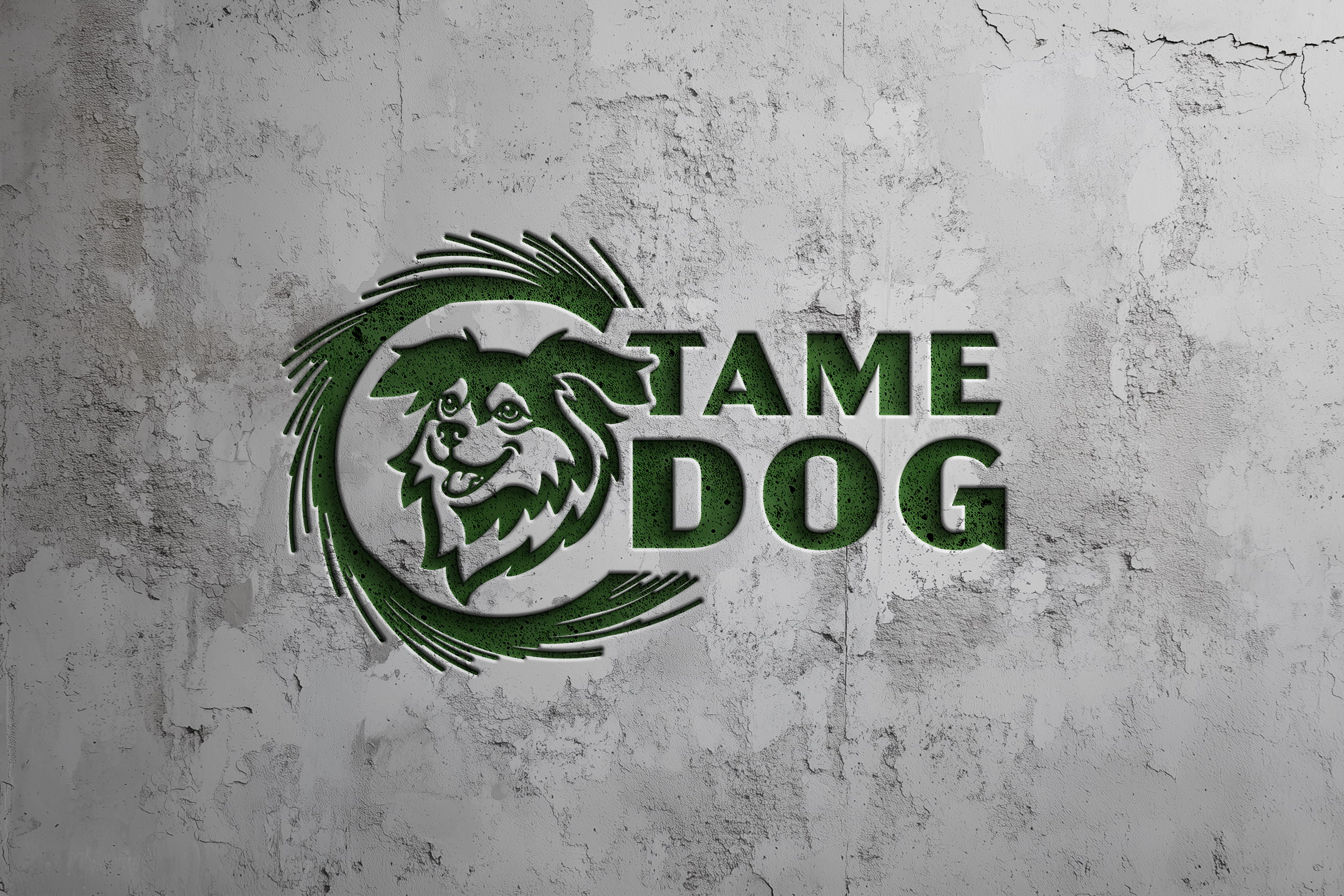 Tame Dog logo applied to a textured gray wall in green.