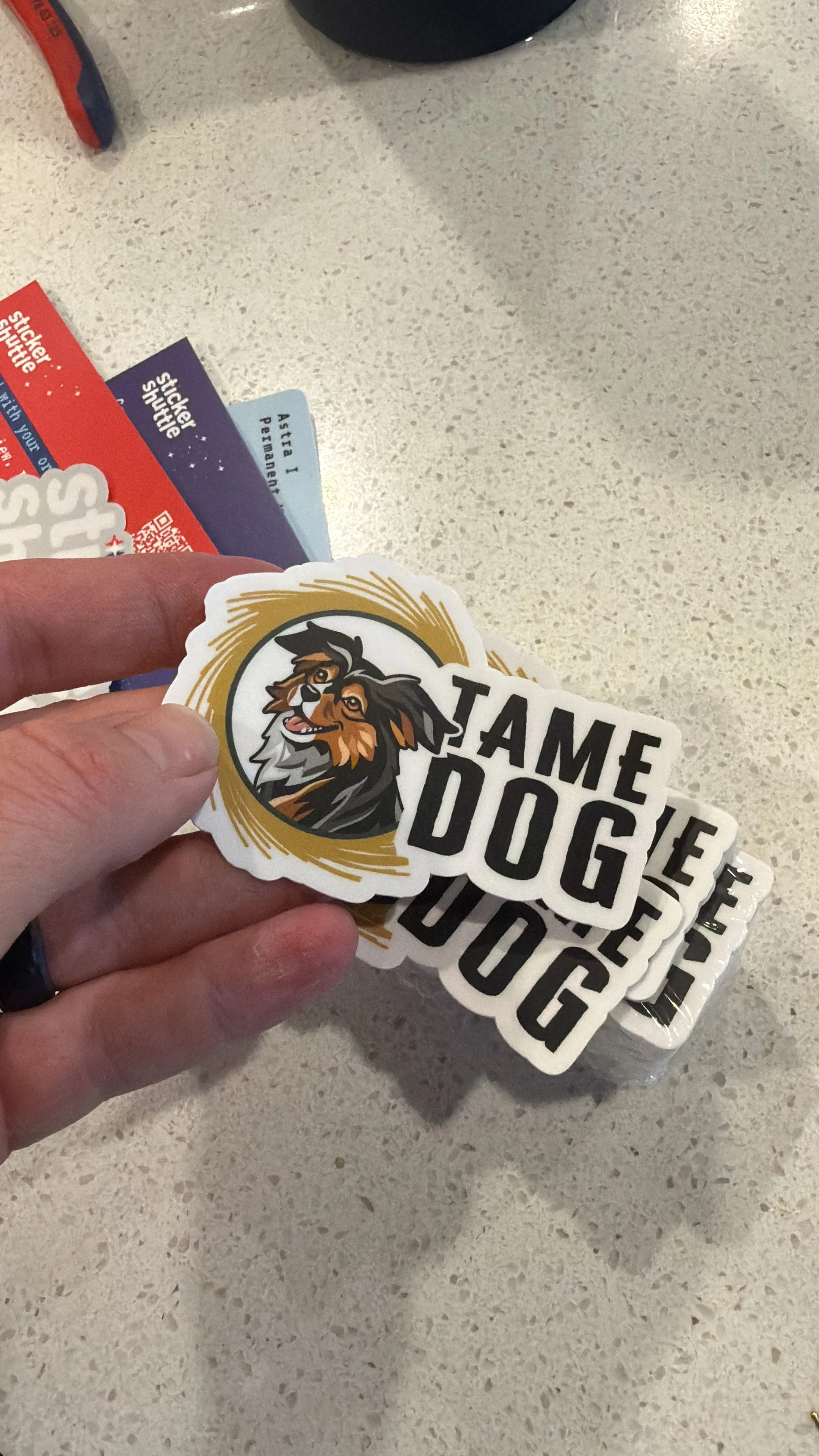 Tame Dog stickers held in hand, showing the brand logo applied to merchandise.