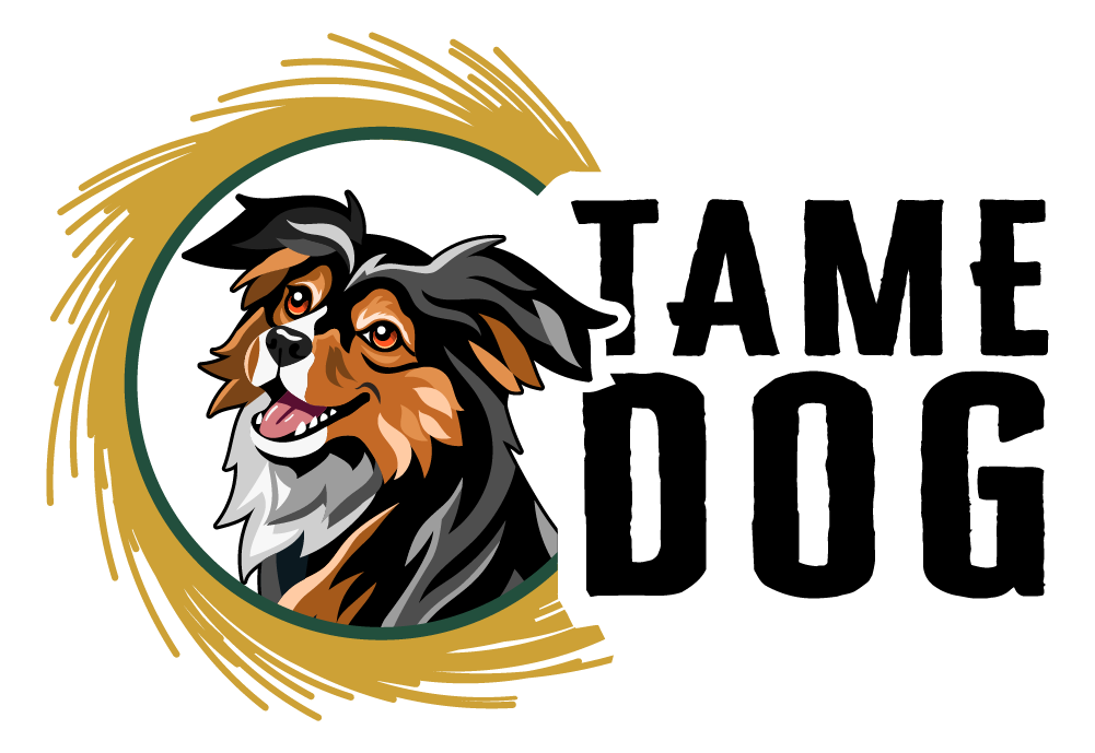 Final Tame Dog logo featuring Leia, an Australian Shepherd, in a golden brushstroke circle.