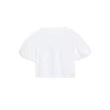 3256812105295579_3158.png