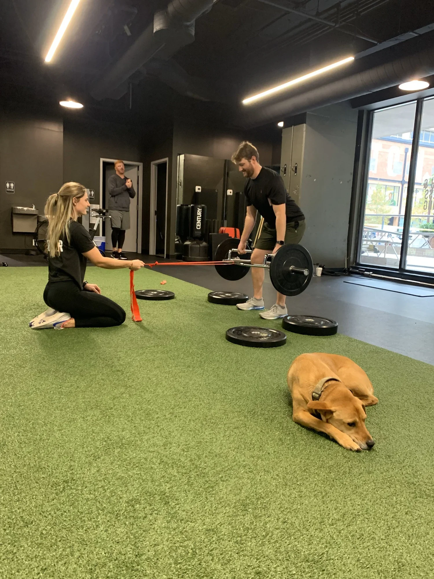 Man lifting a barbell while a woman holds a resistance band for support in a gym. A dog lies on the green artificial turf floor. Another person stands in the background near gym equipment.