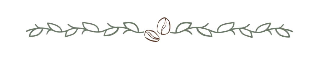 Minimalist line drawing of a horizontal coffee branch with leaves and a coffee bean in the center.