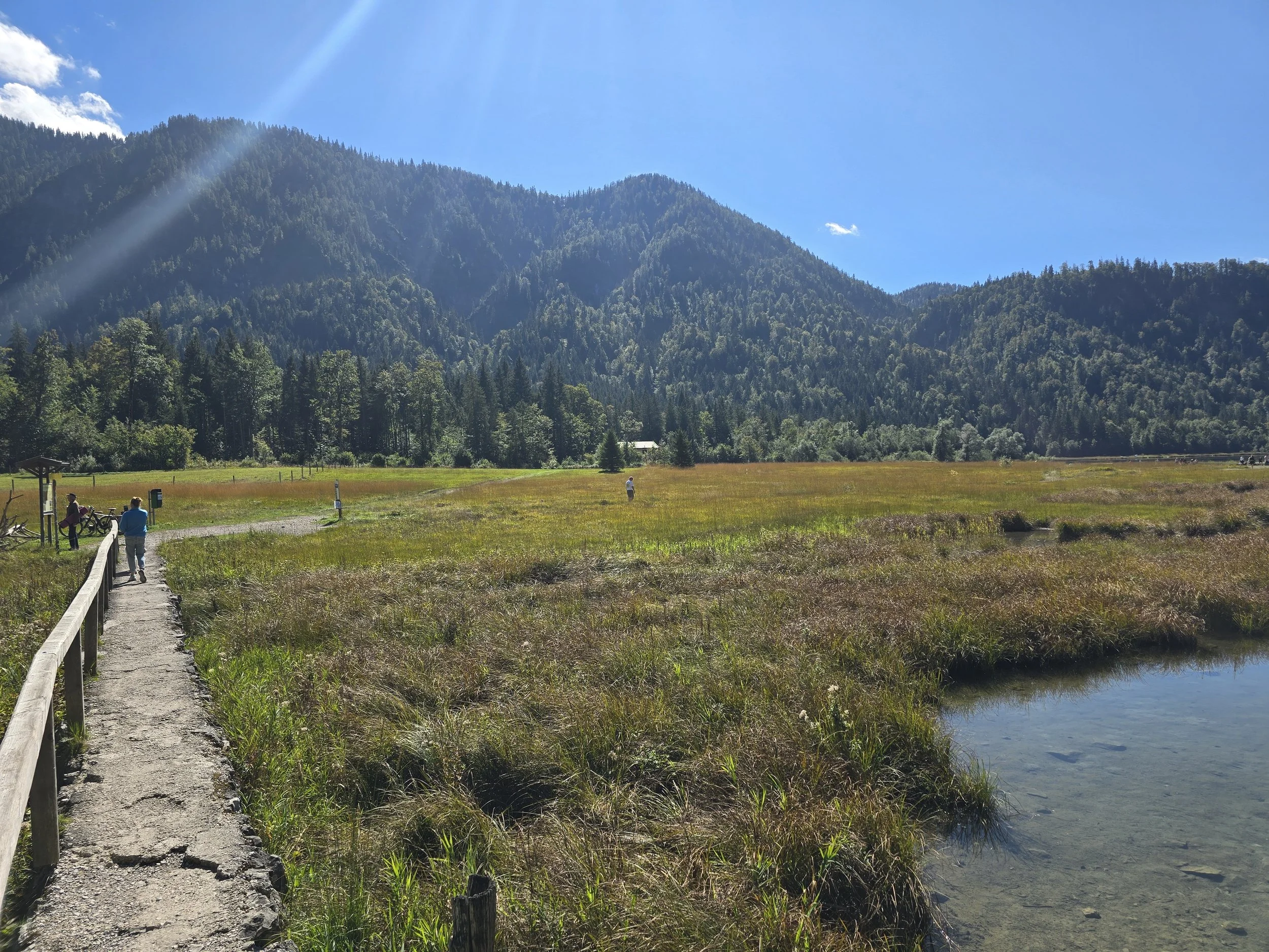 Herbstwanderung auf einem Moorweg in den Berchtesgadener Alpen