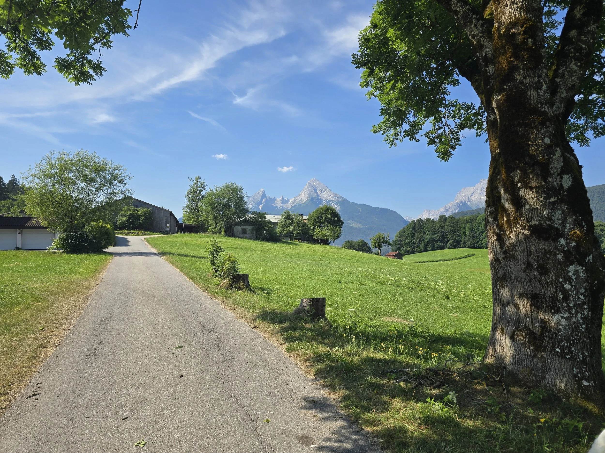 Schmale Straße durch eine grüne Wiese mit Blick auf den Watzmann im Berchtesgadener Land.