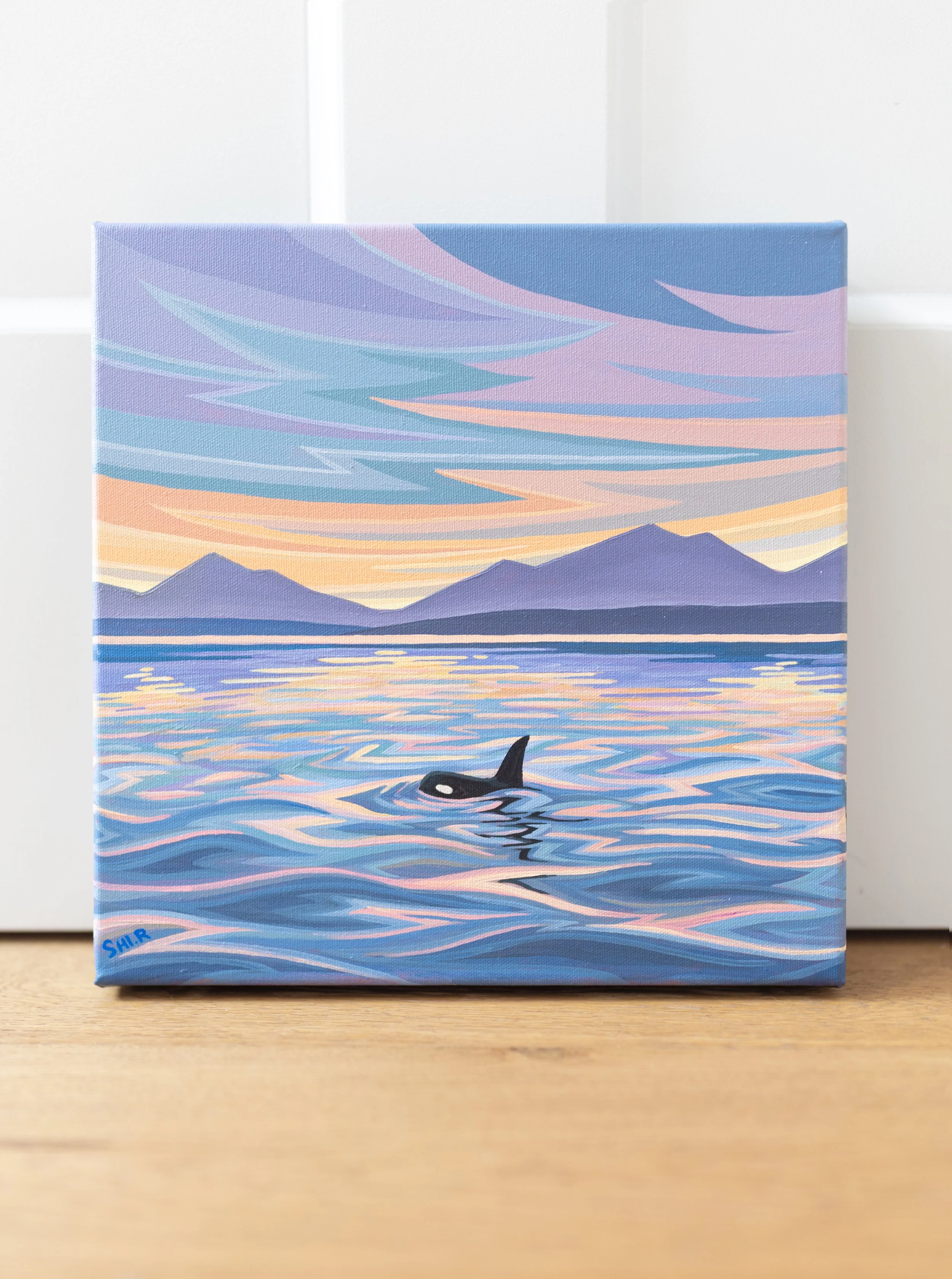 Whale Watching