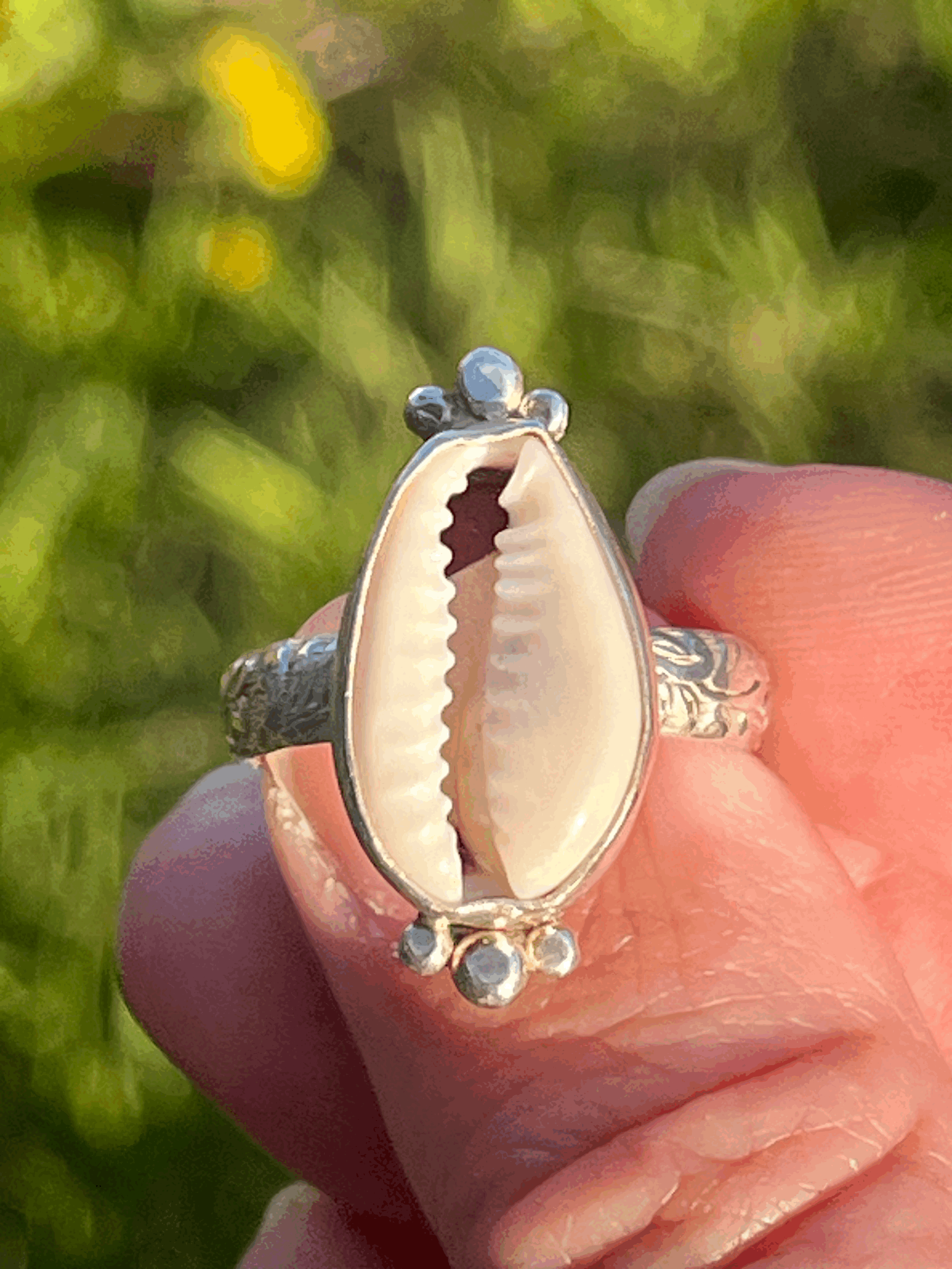Cowrie Cutie