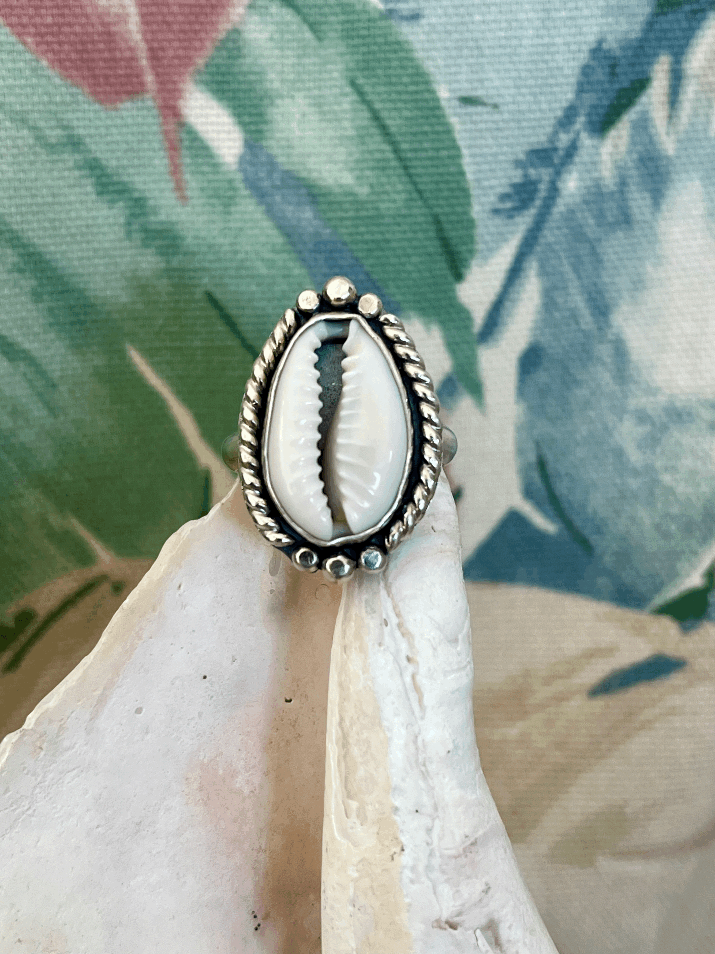 Coastal Cowrie Shell