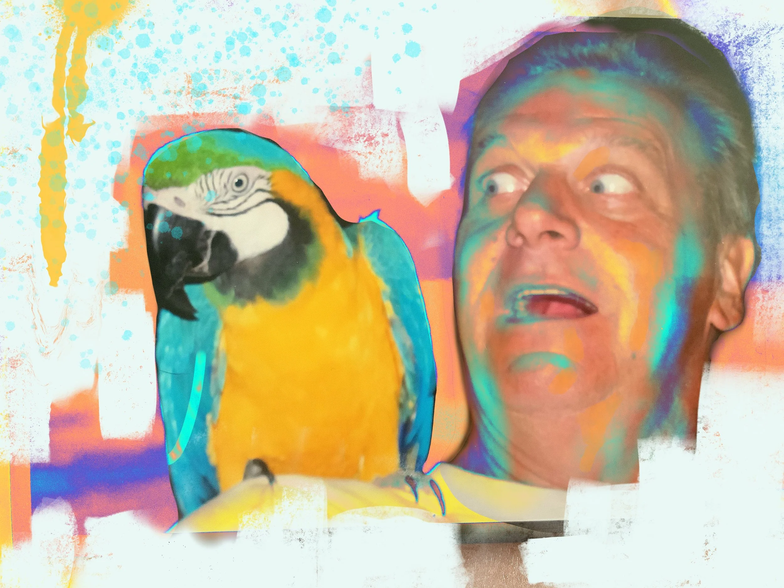 Untitled_Artwork.jpeg