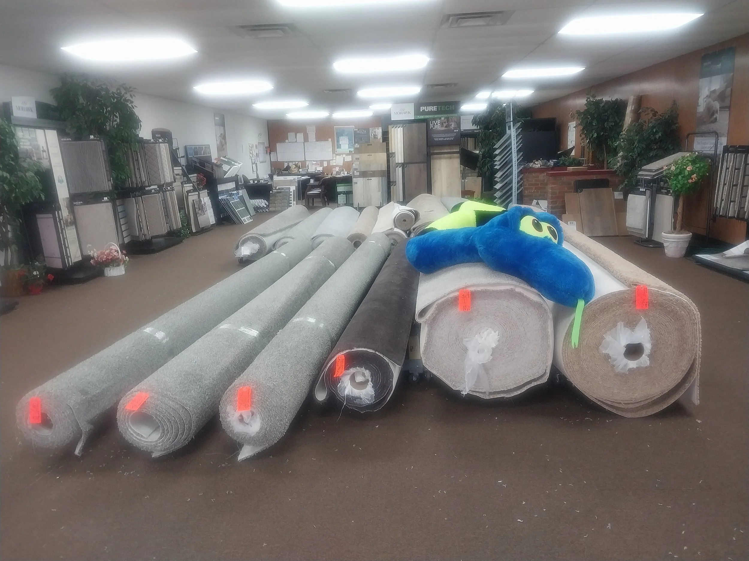 Front of showroom floor