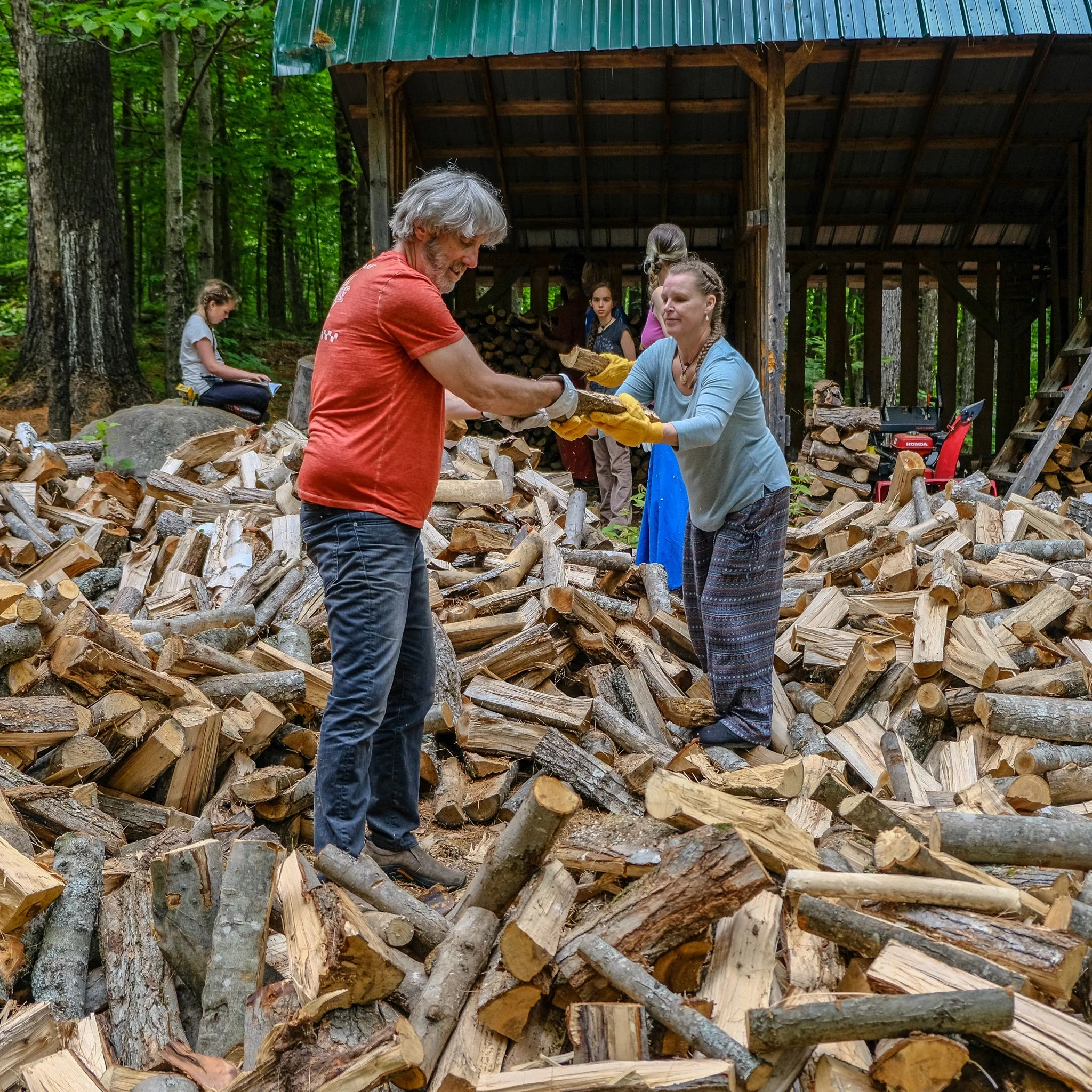 Guests passing wood to the shed
