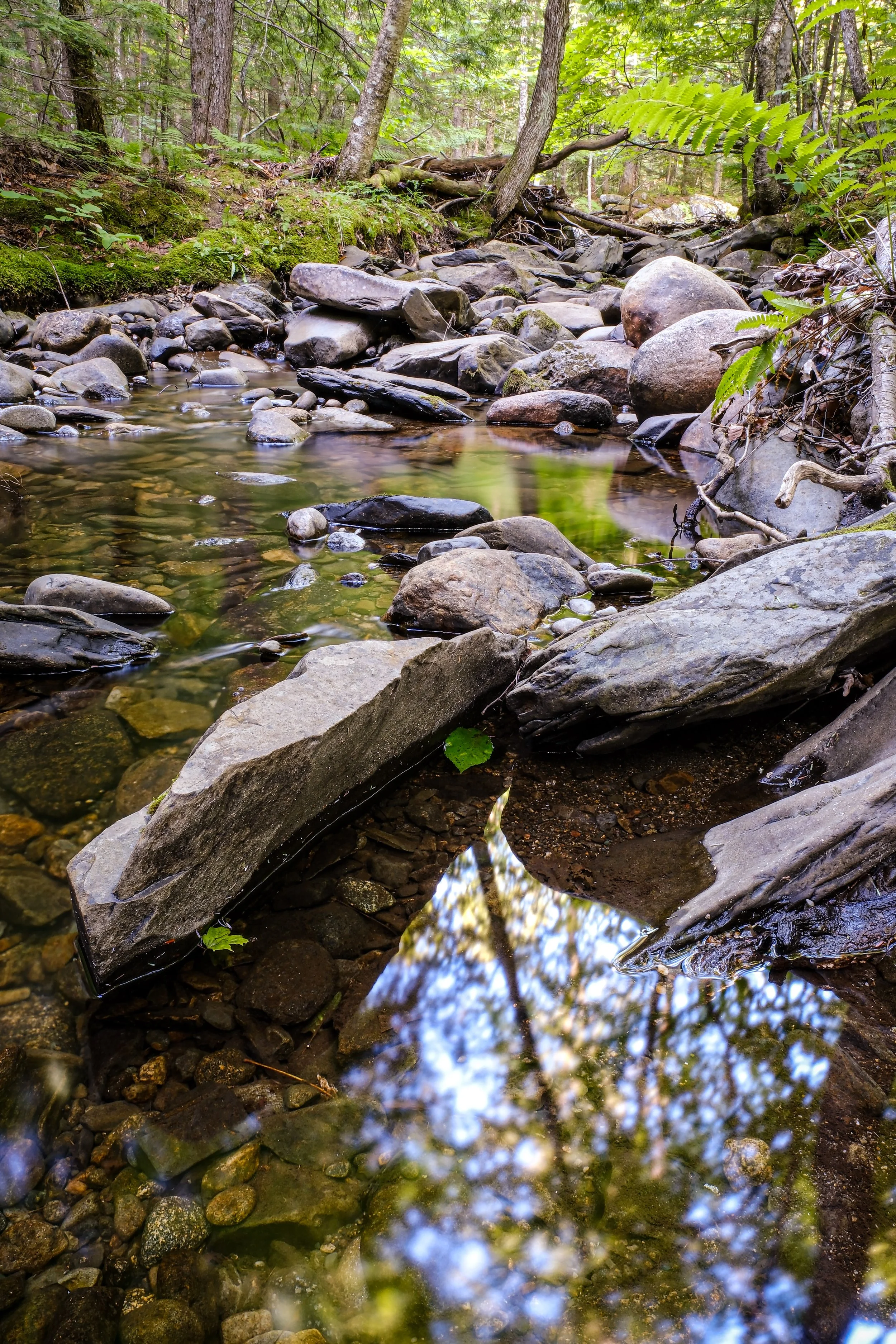 Lemon stream rocks