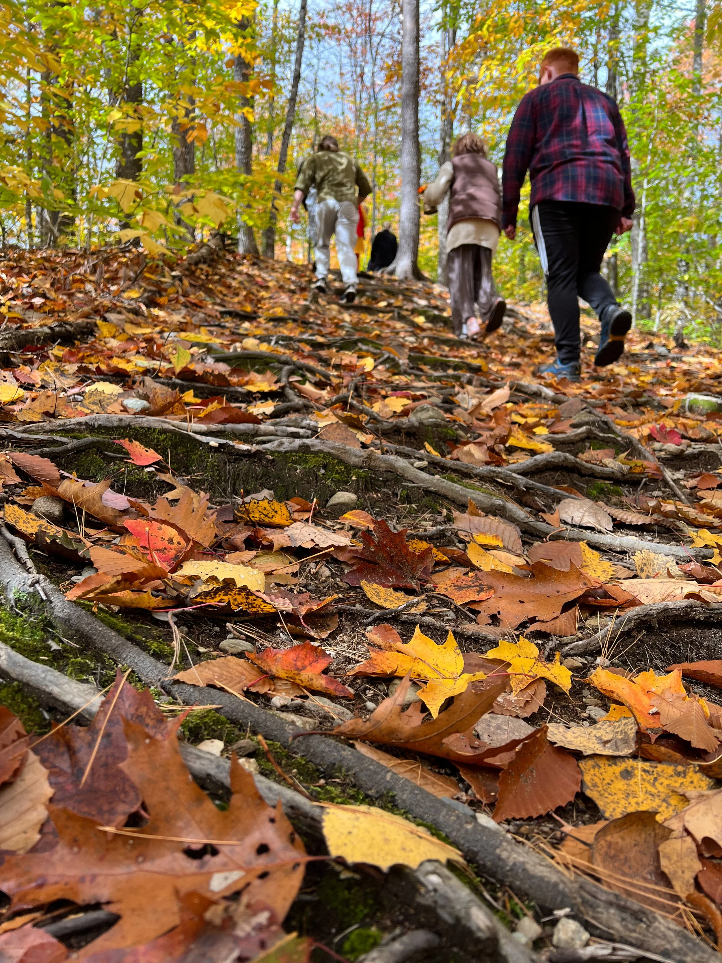 Family visit in the fall at Sat Manav