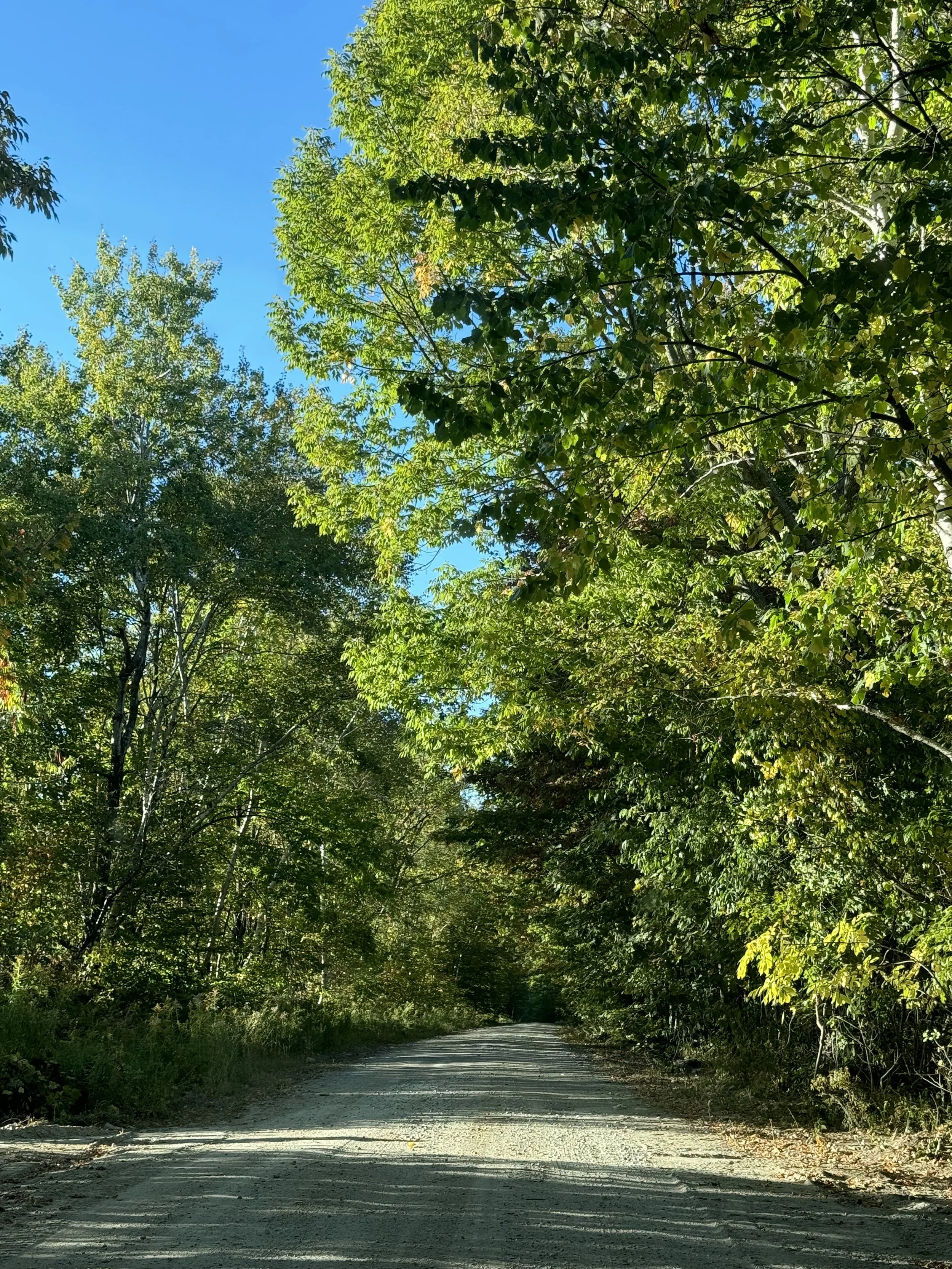 The road to the Ashram