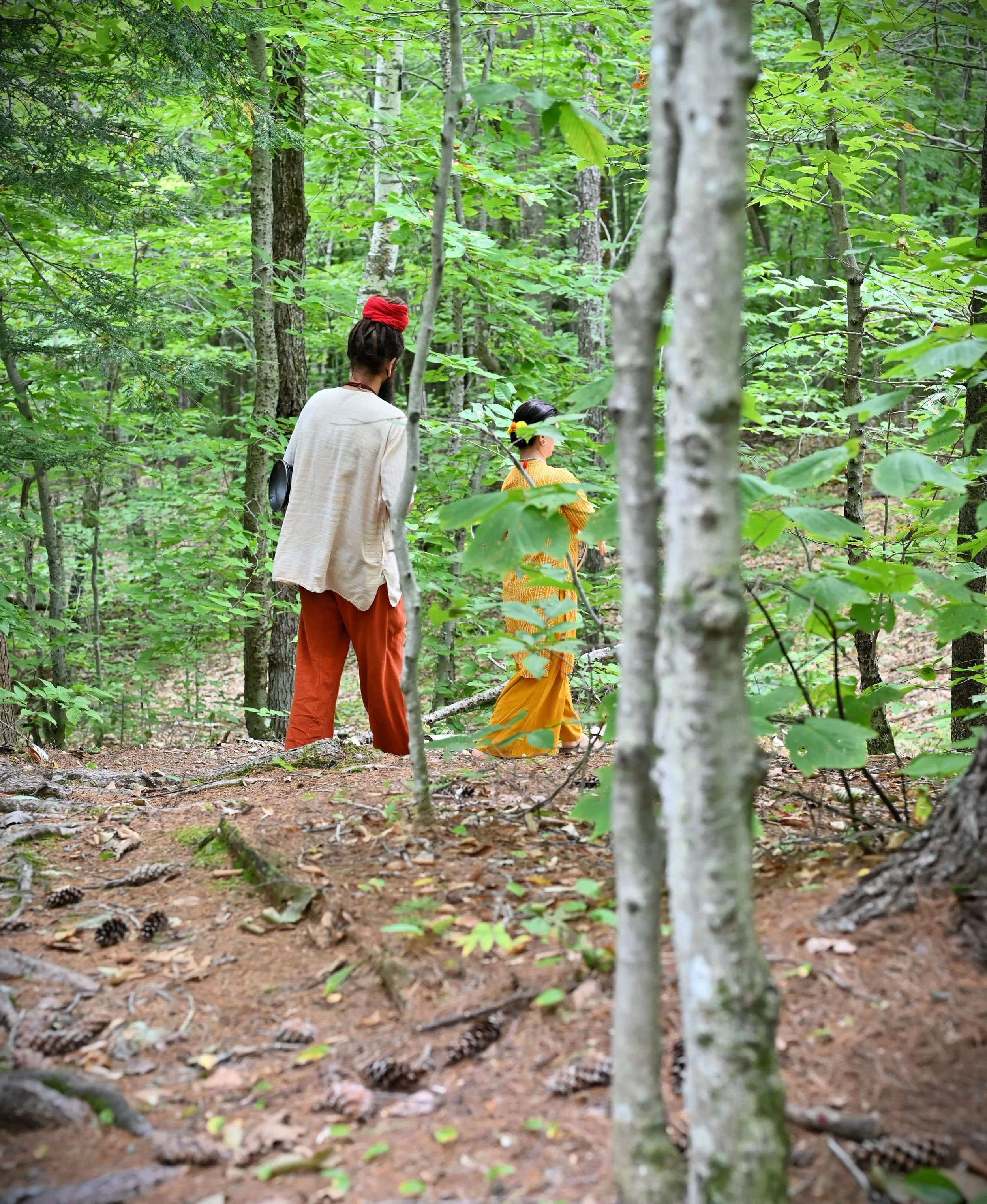 Yogis on the winding trail