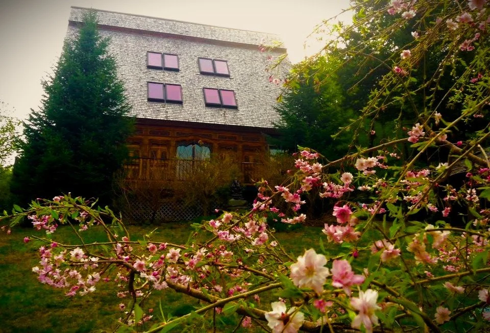 A Siddha Loka in Spring