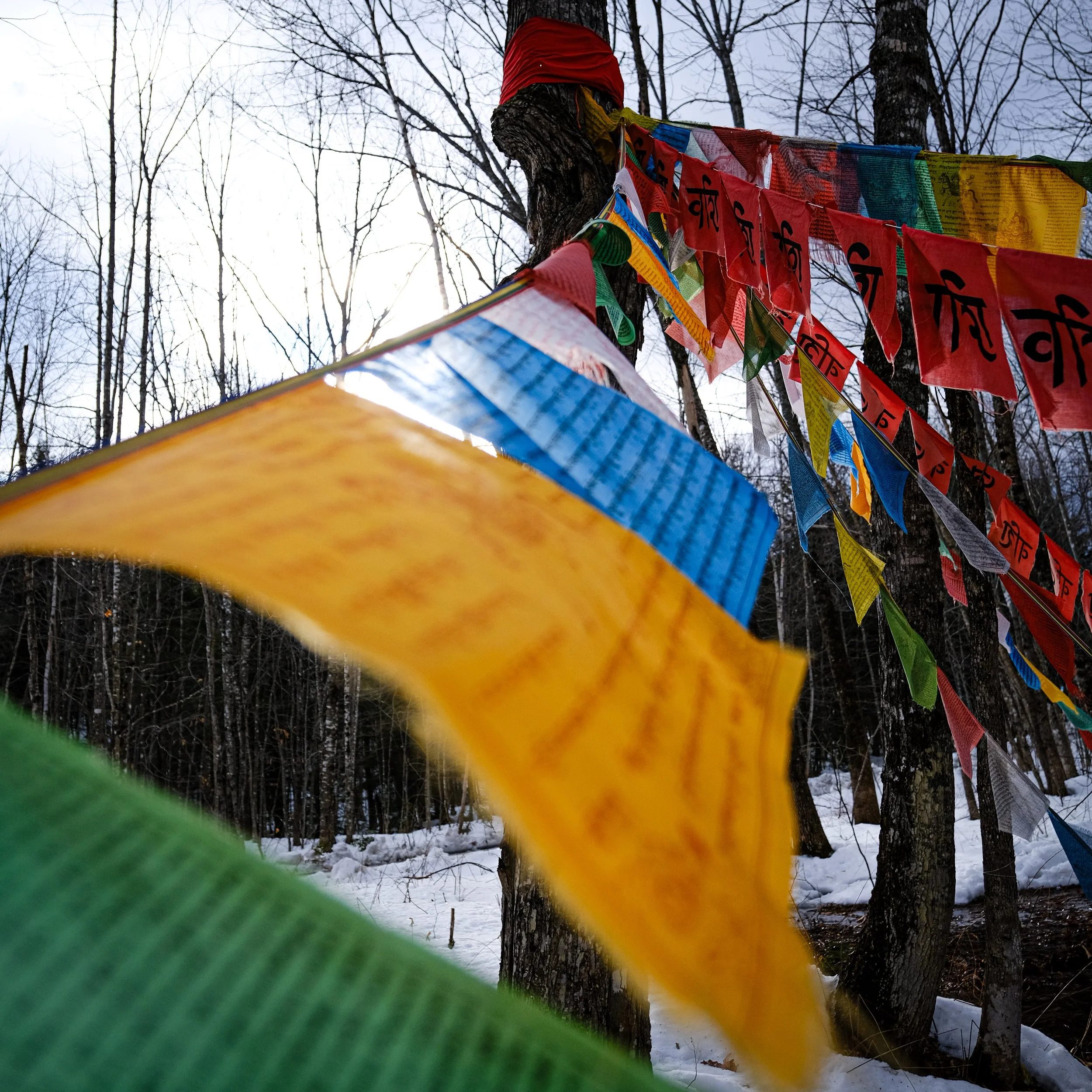 Prayer flags waving from Ganesh tree