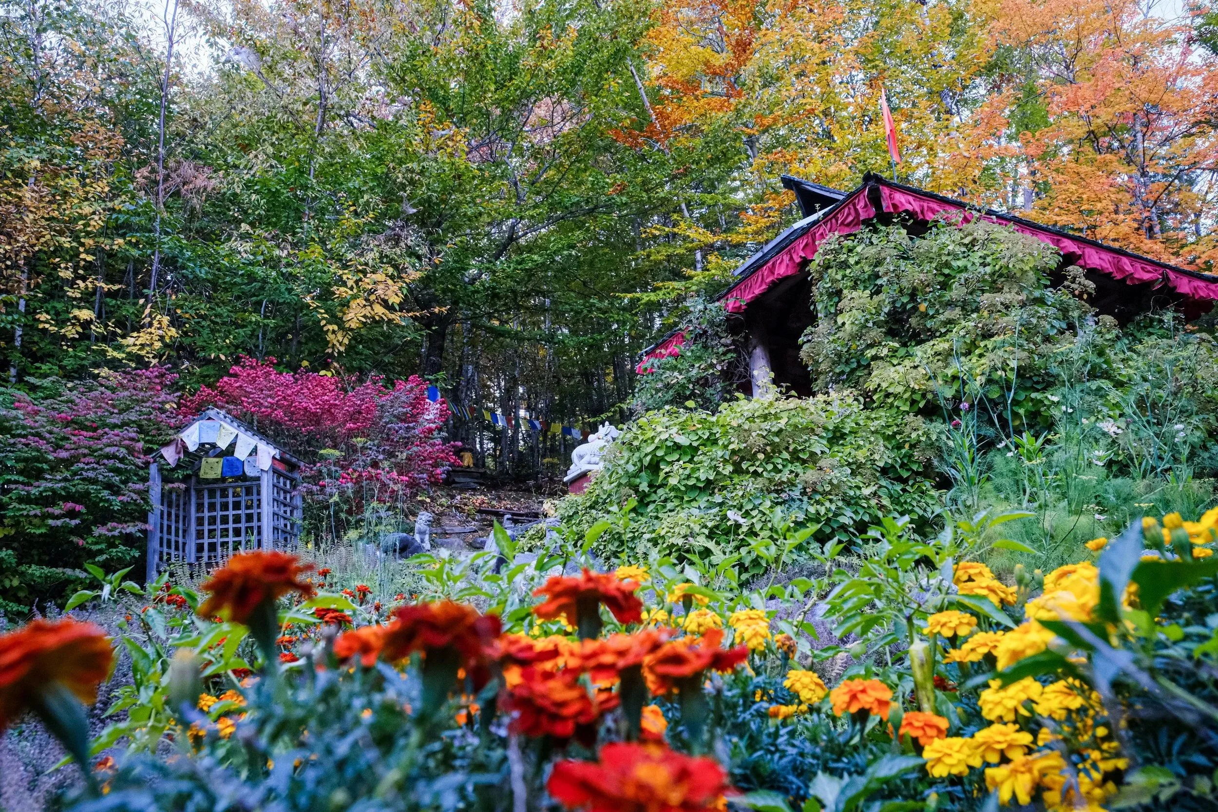 Our vibrant garden in fall